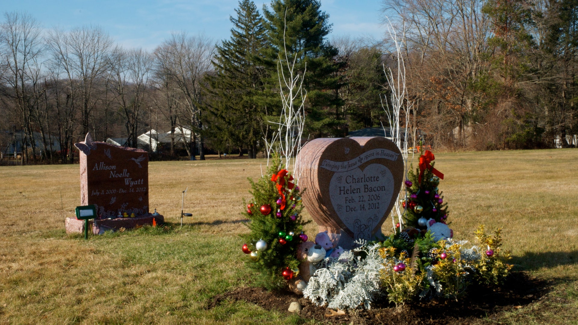 Newtown_OReilly_Photos__4_