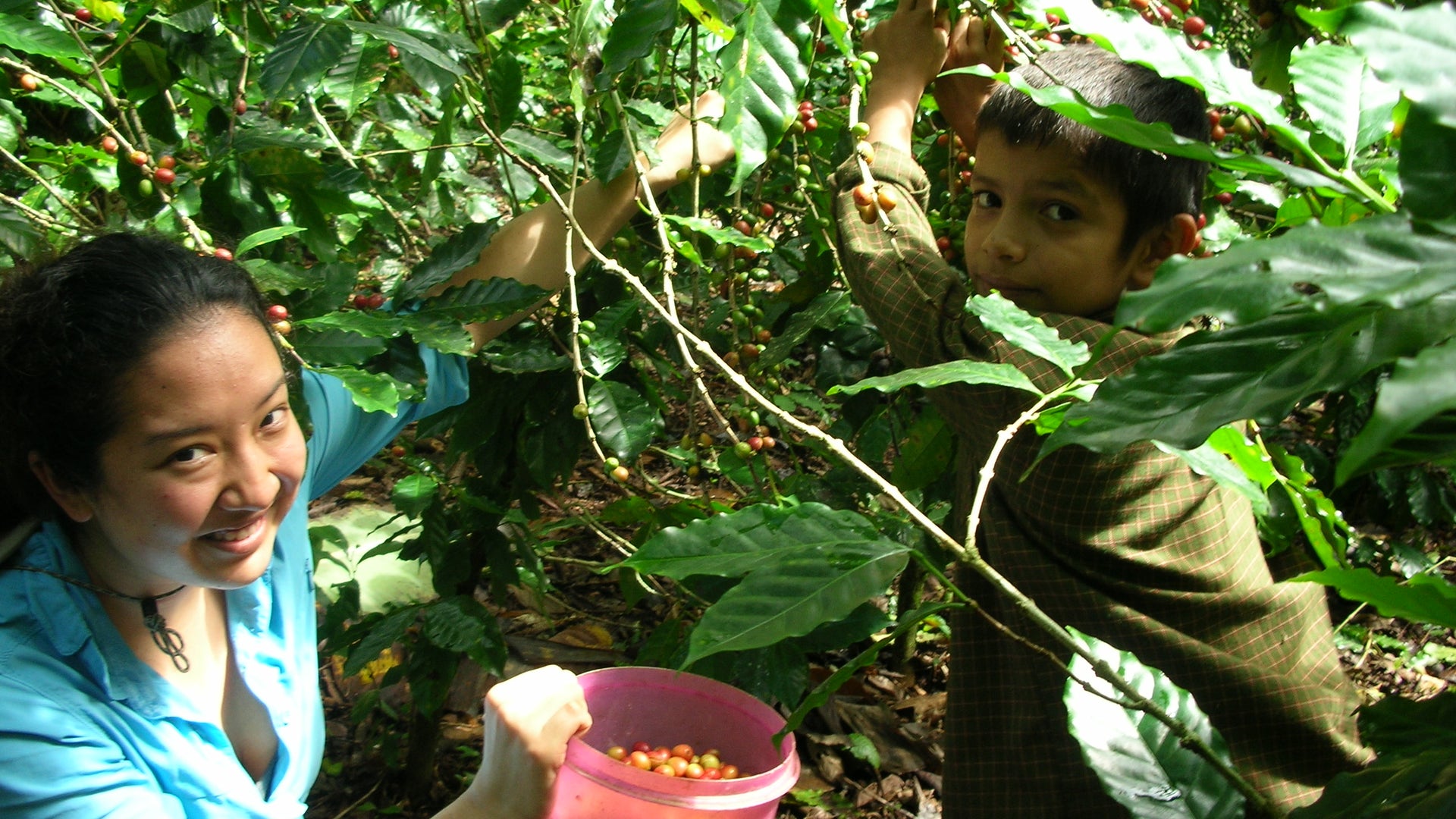 Nica_Global_Exchange