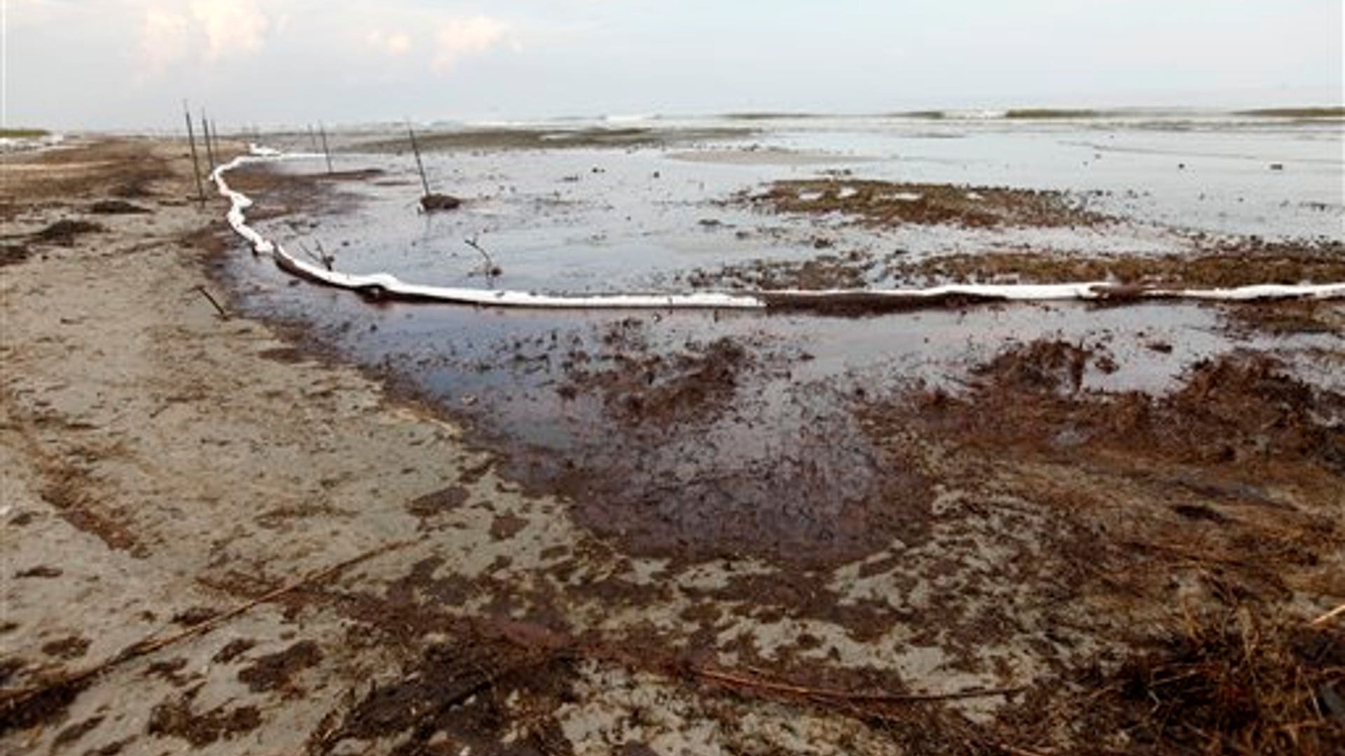 Oil_Absorbent_Material