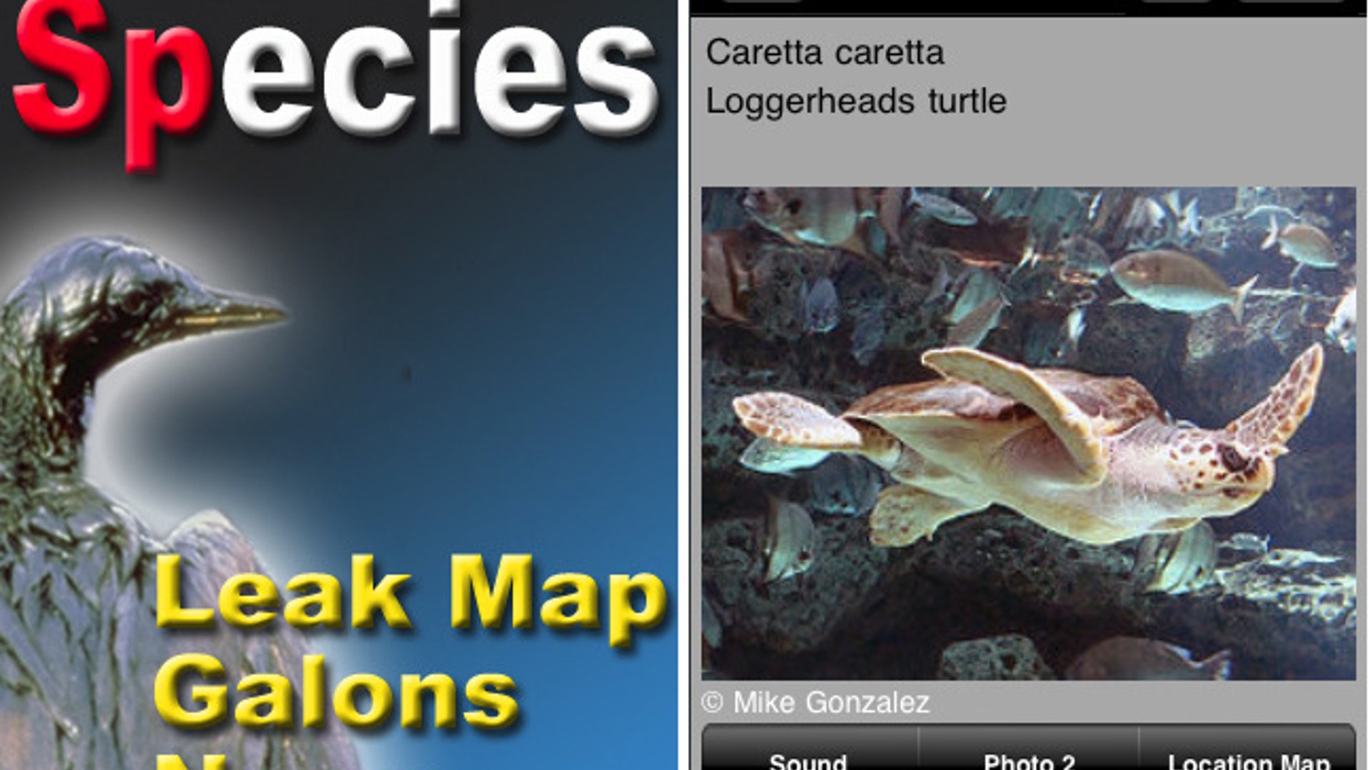 iPhone Apps: Oil Spill in Gulf Coast