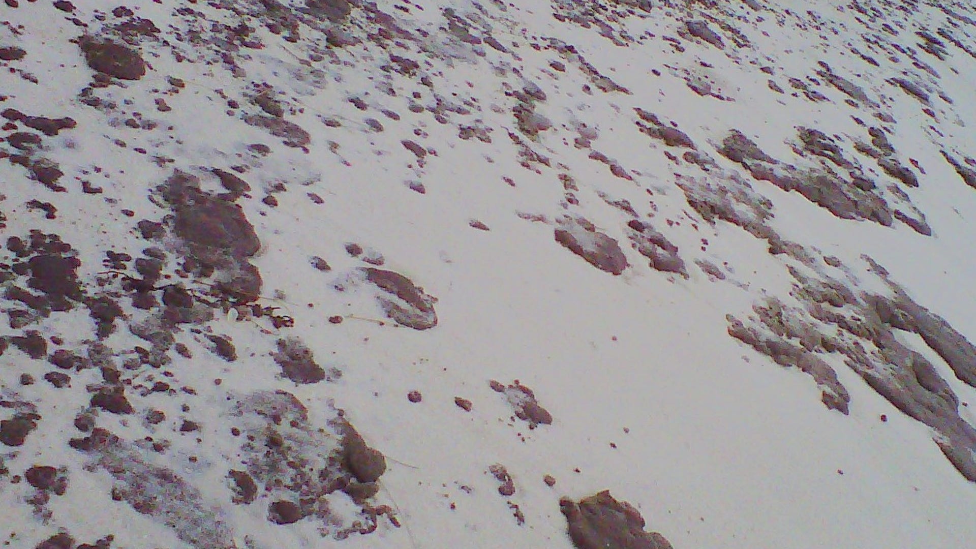 A Blanket of Tarballs