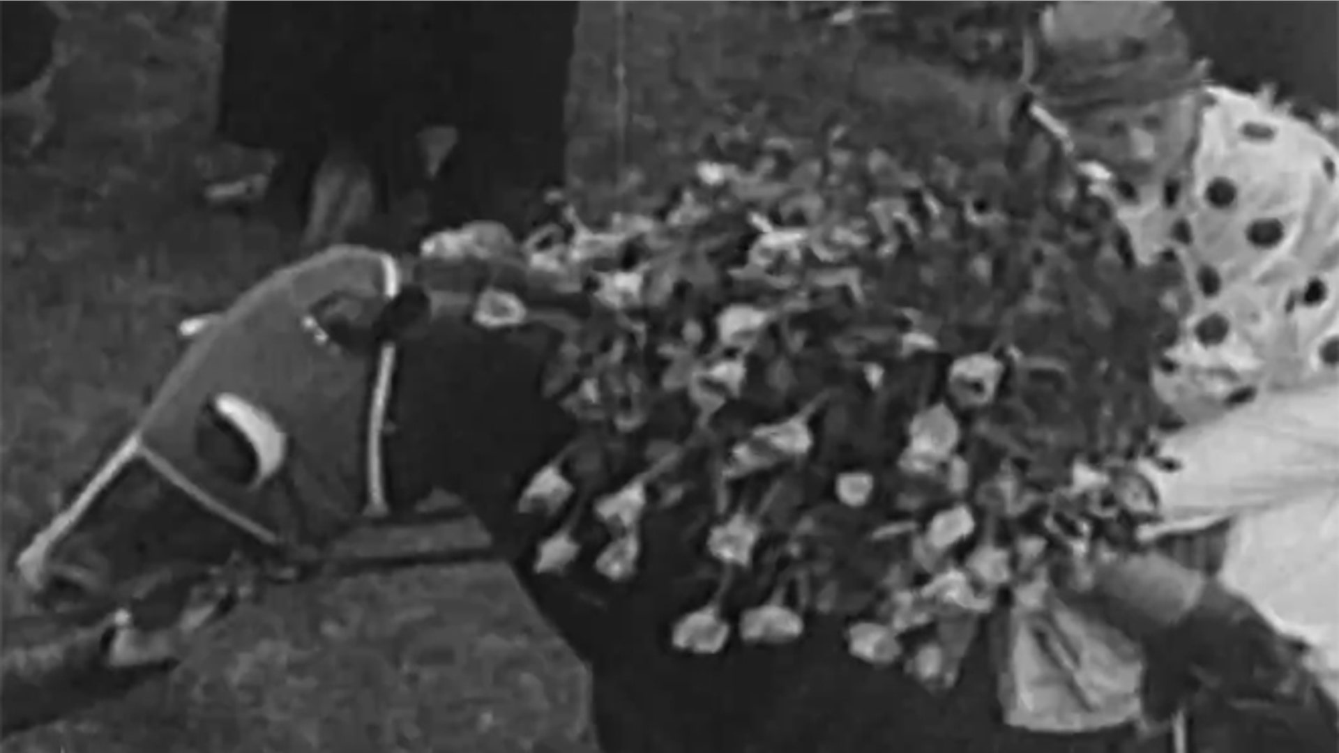 Omaha_Willie_Saunders_Latino