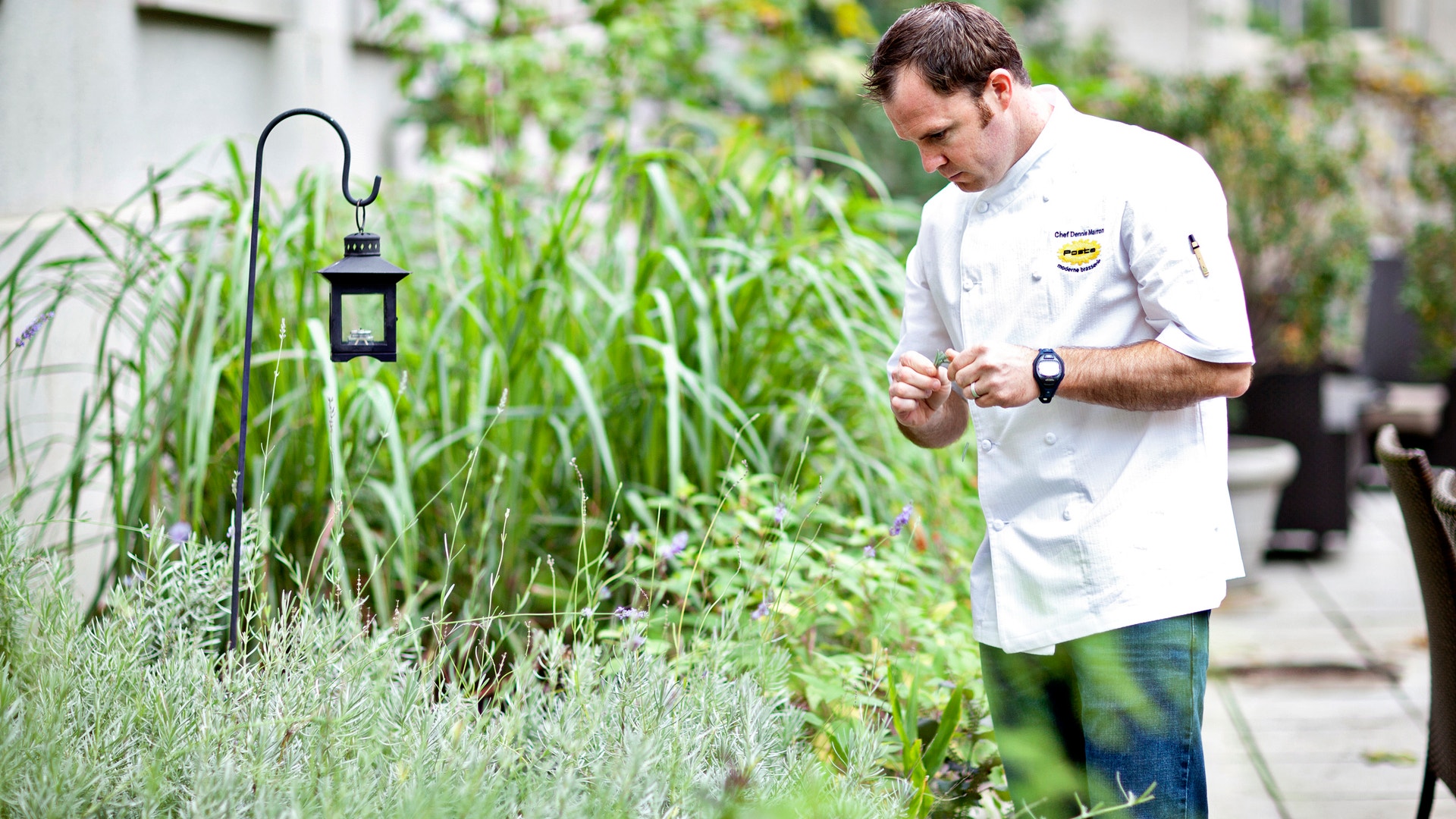 Palomar_Herb_Garden_photo_courtesy_Kimpton