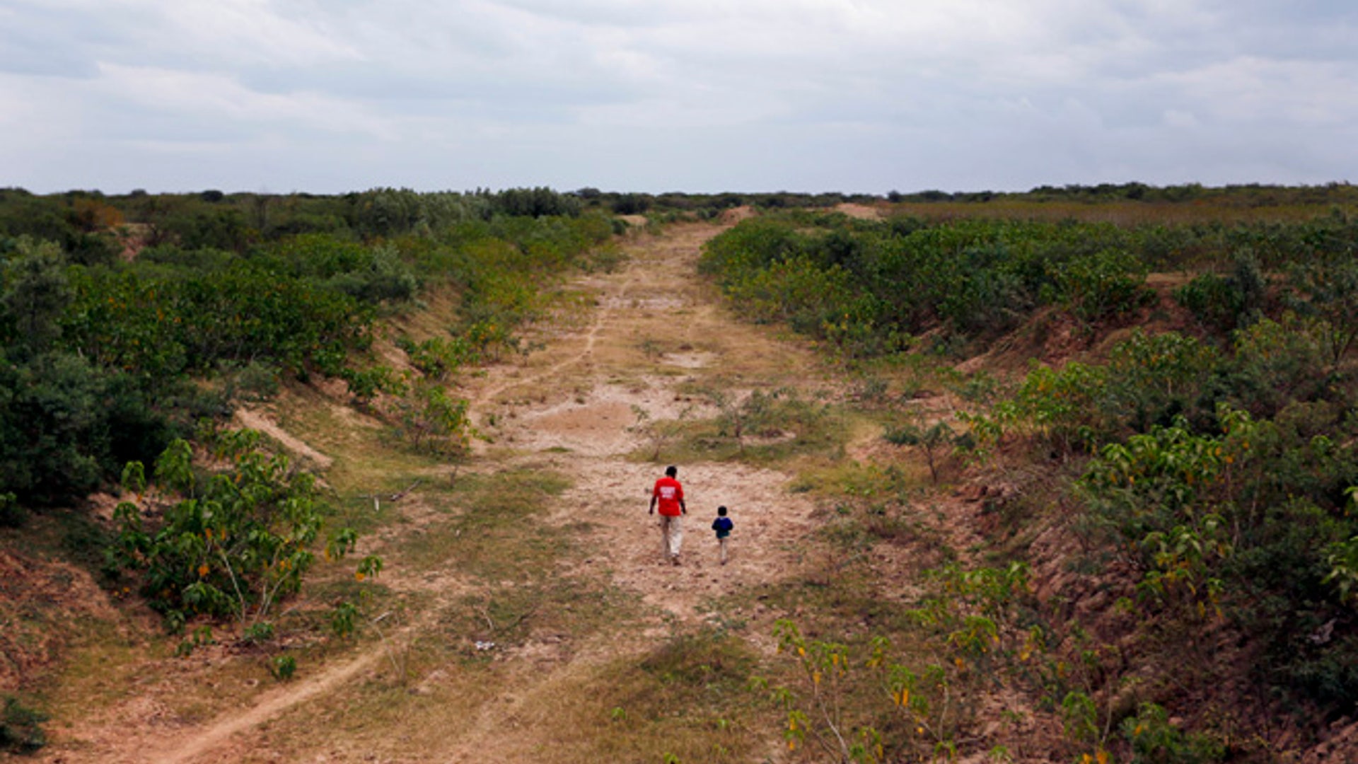 Paraguay_Caimans__5_
