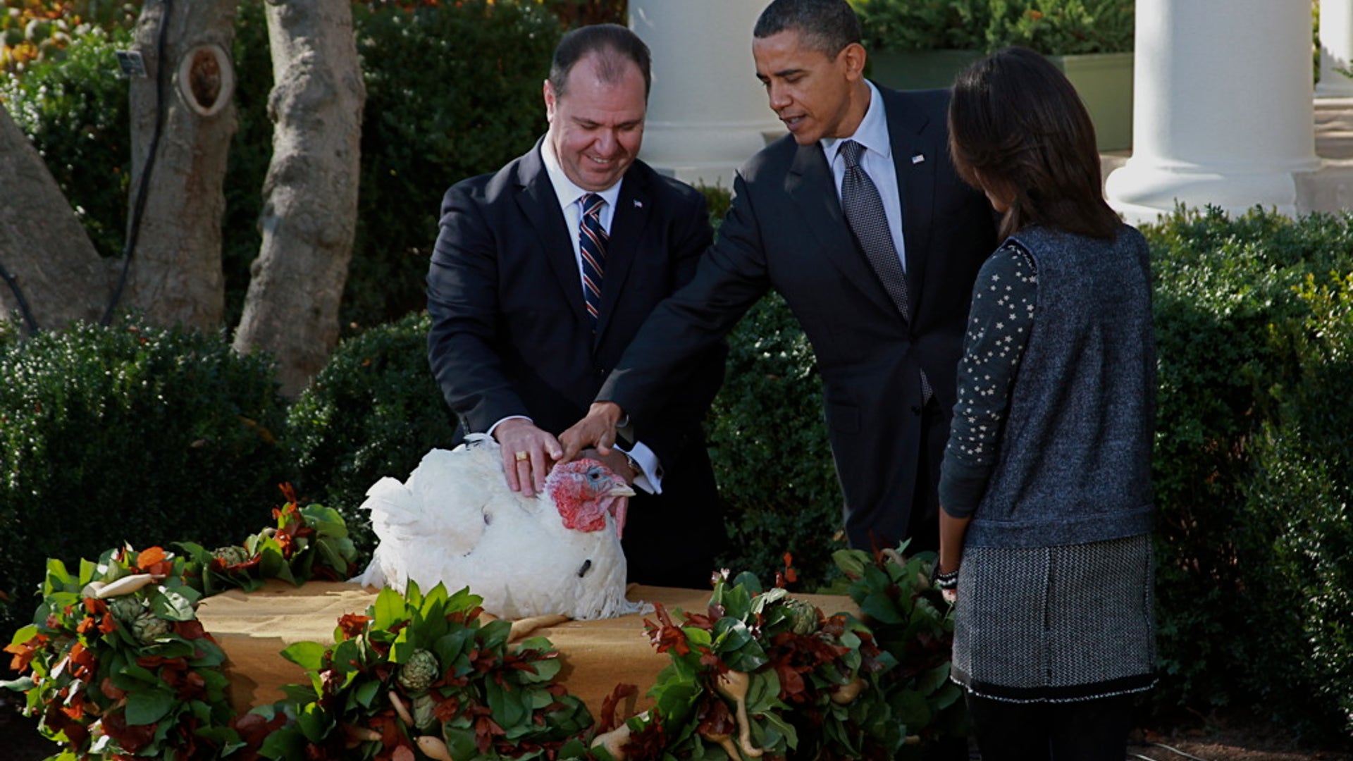 Pardons Apple the Thanksgiving Turkey.jpg