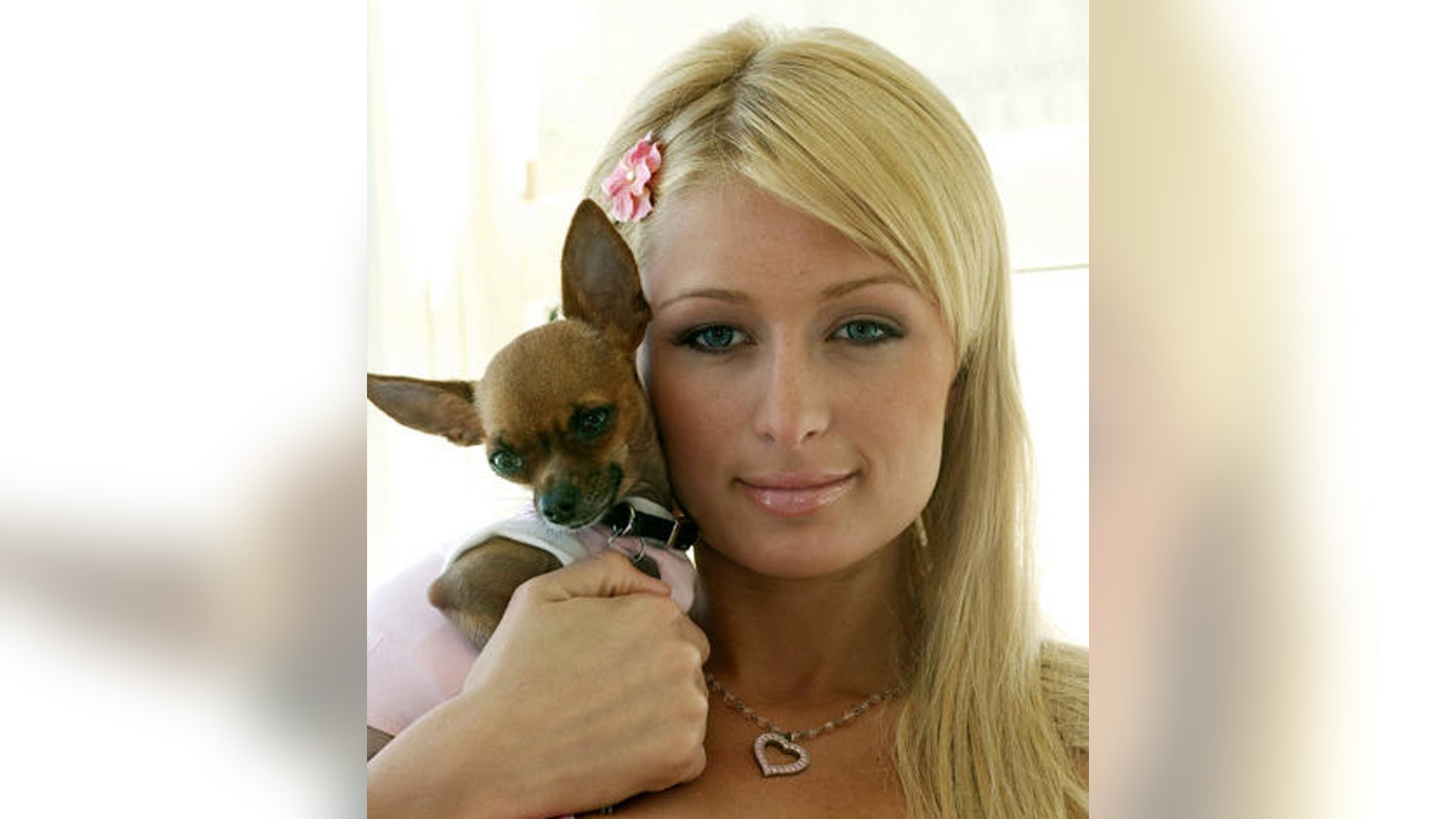 Paris_Hilton_fsfds