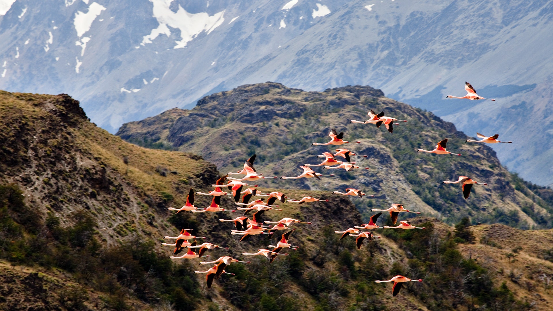 Patagonia_Story_FNL__2_