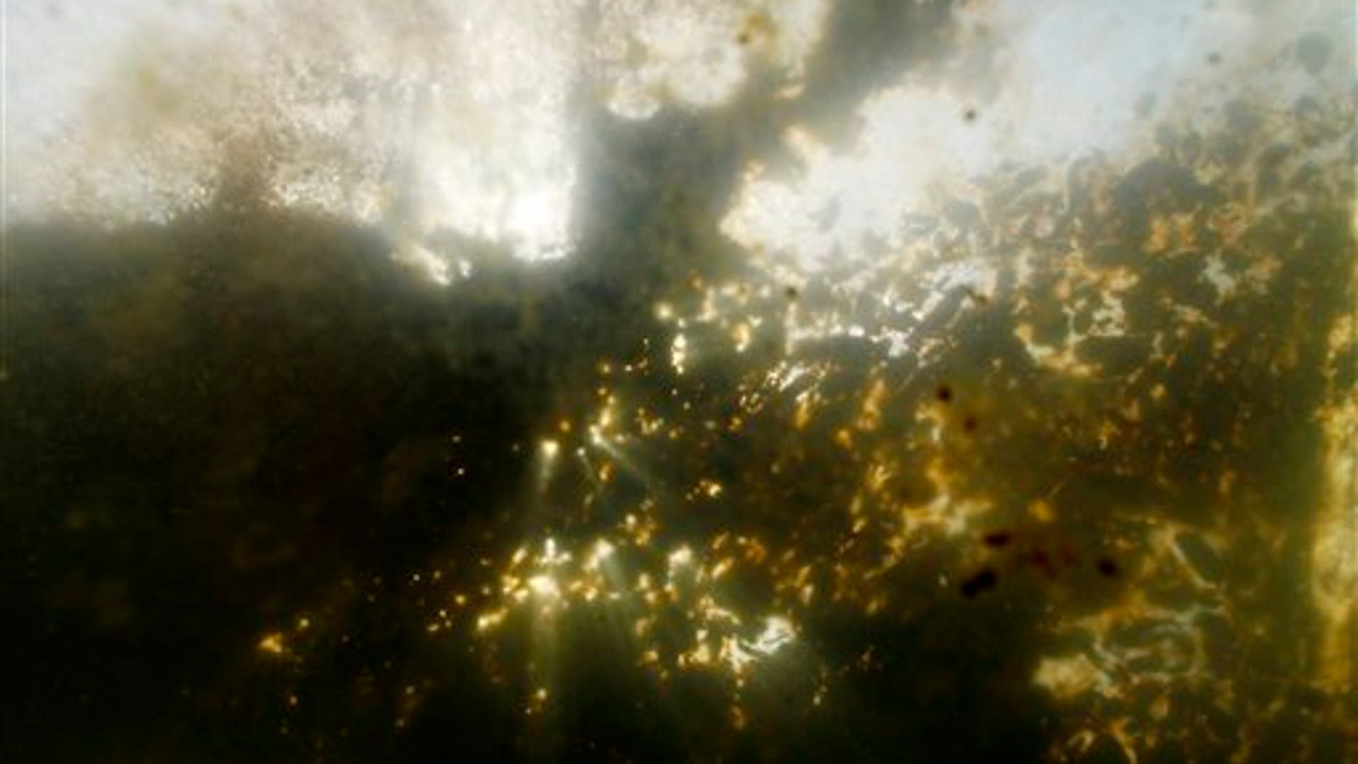 Patches_of_Oil