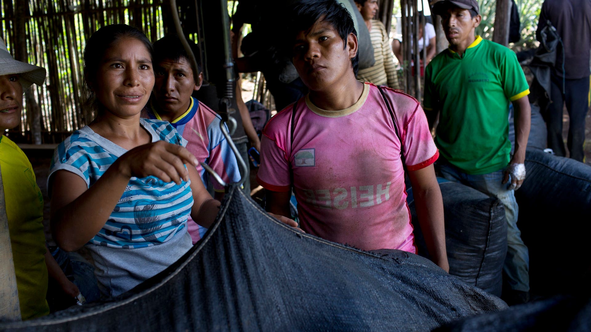 Peru_Coca_Harvest__6_