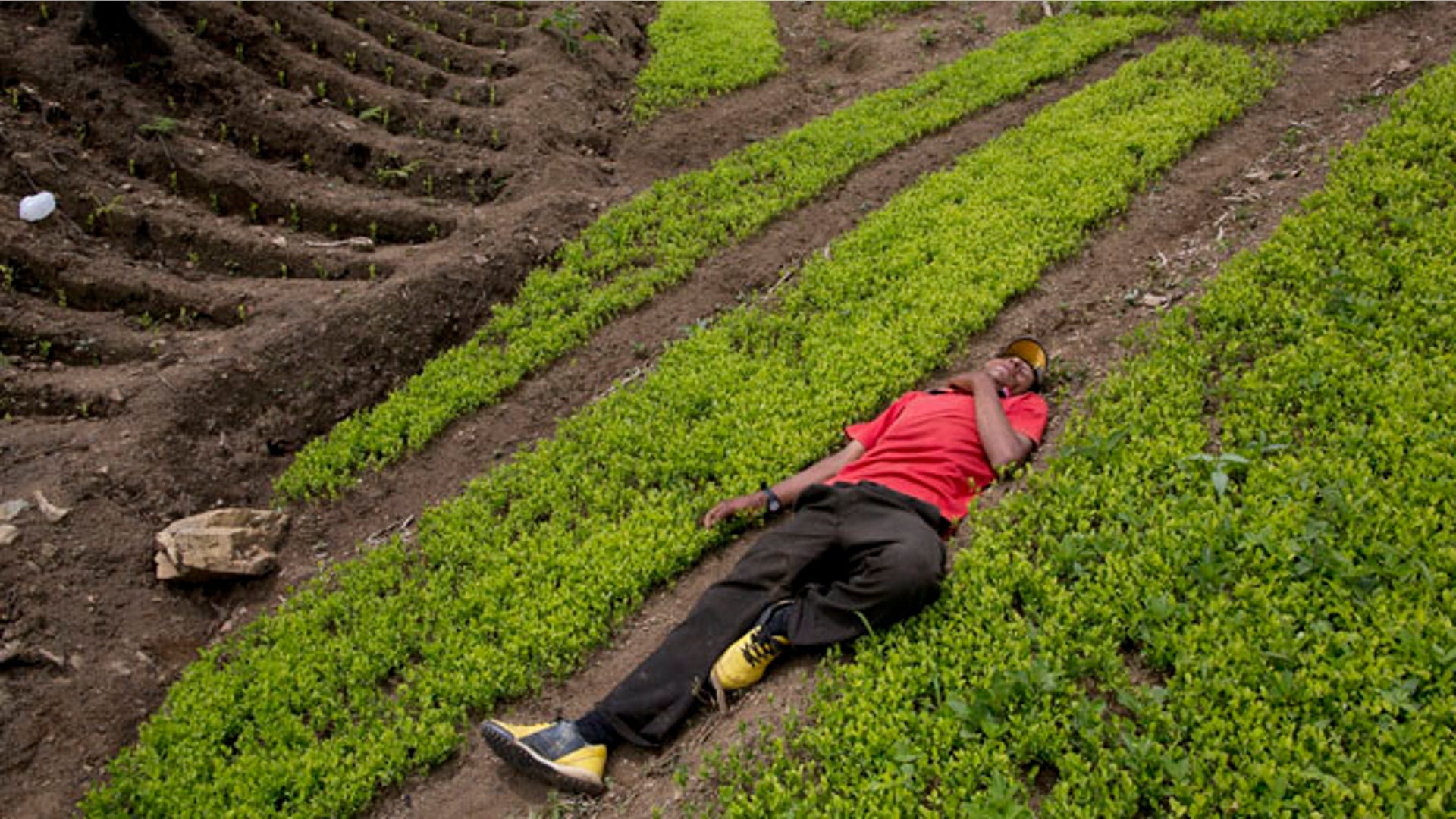 Peru_Cocaine_Backpack_Garc_14_