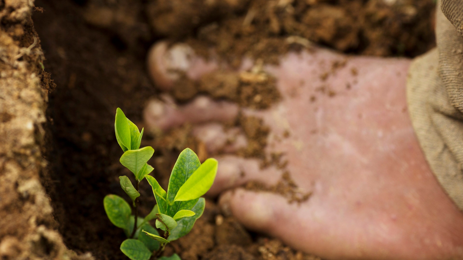 Peru_Cocaine_Backpack_Garc_17_