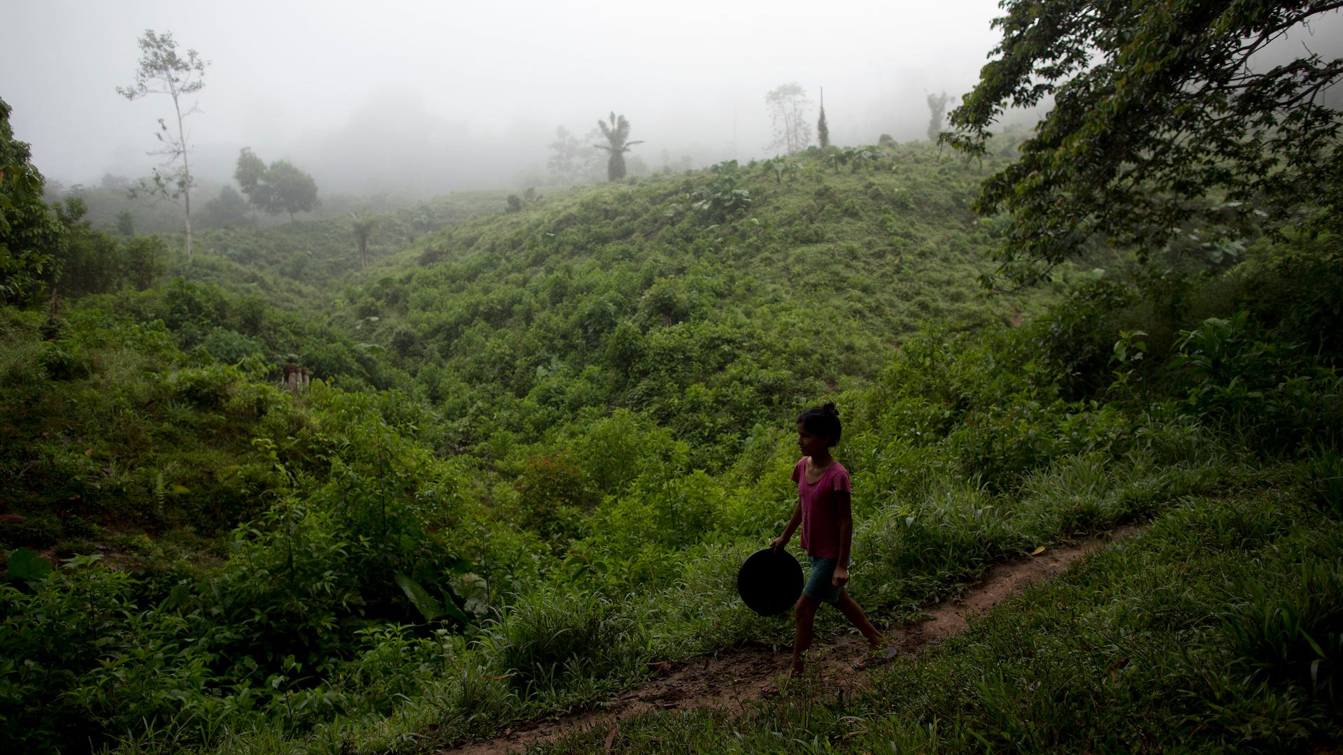Peru_Cocaleros_Photo__Garc_13_