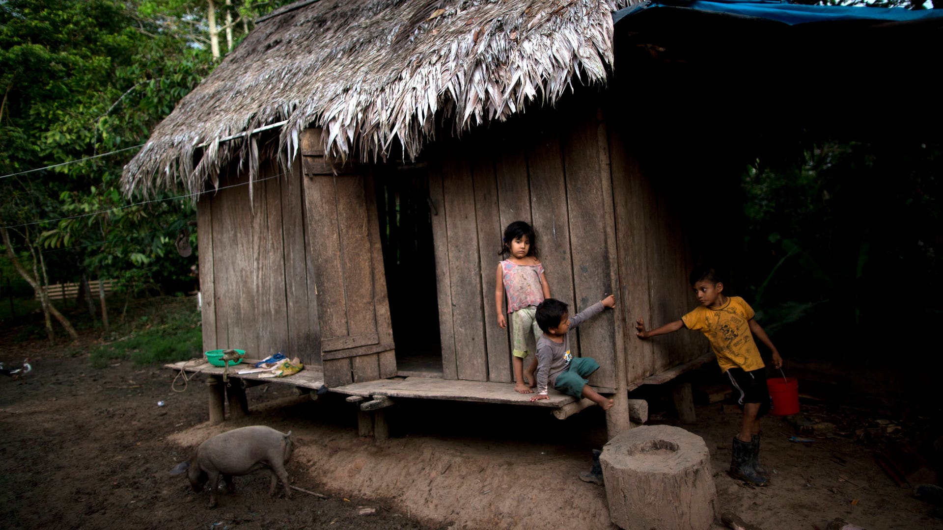 Peru_Cocaleros_Photo__Garc_16_