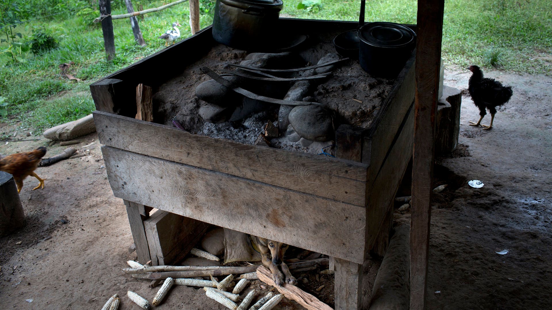 Peru_Cocaleros_Photo__Garc_4_