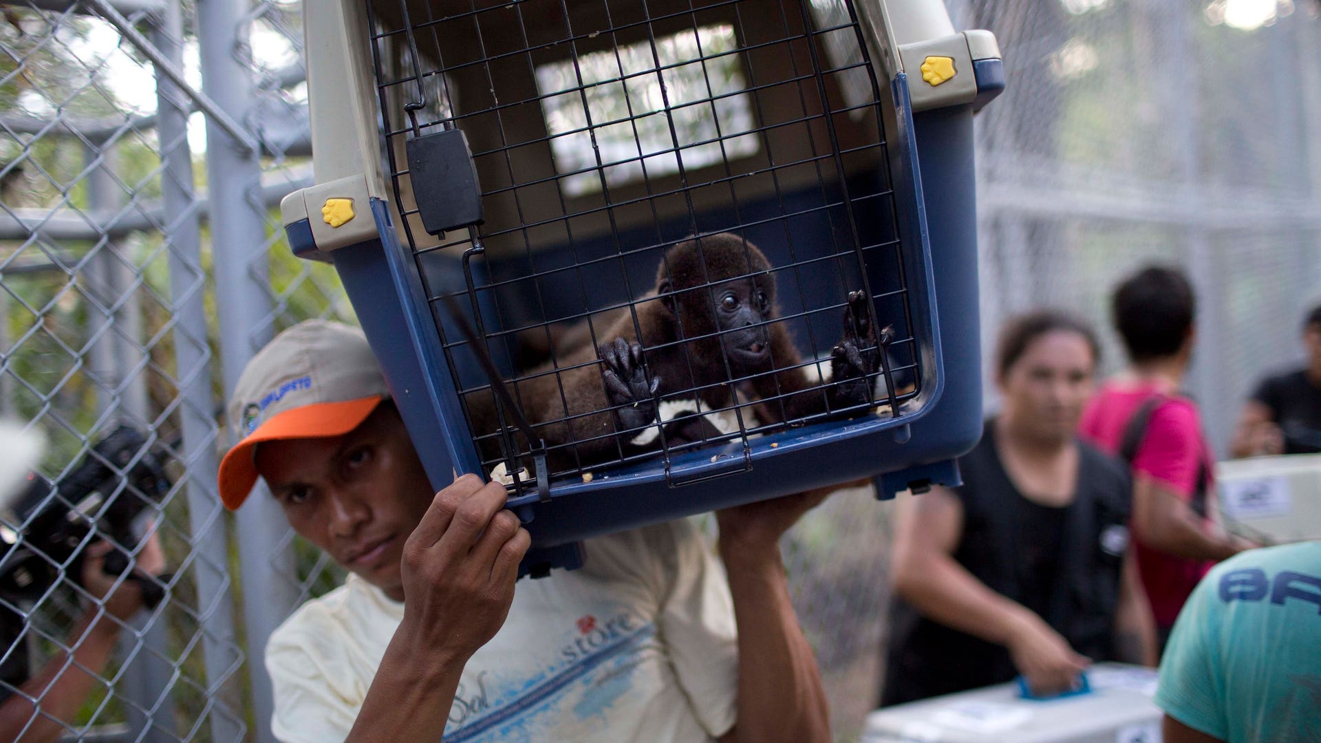 Peru_Rescued_Animals__Garc_4_