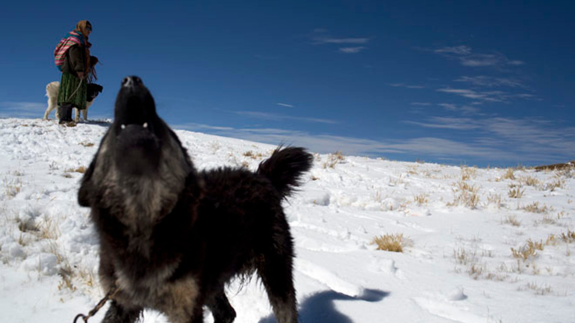 Peru_harsh_winter__6_