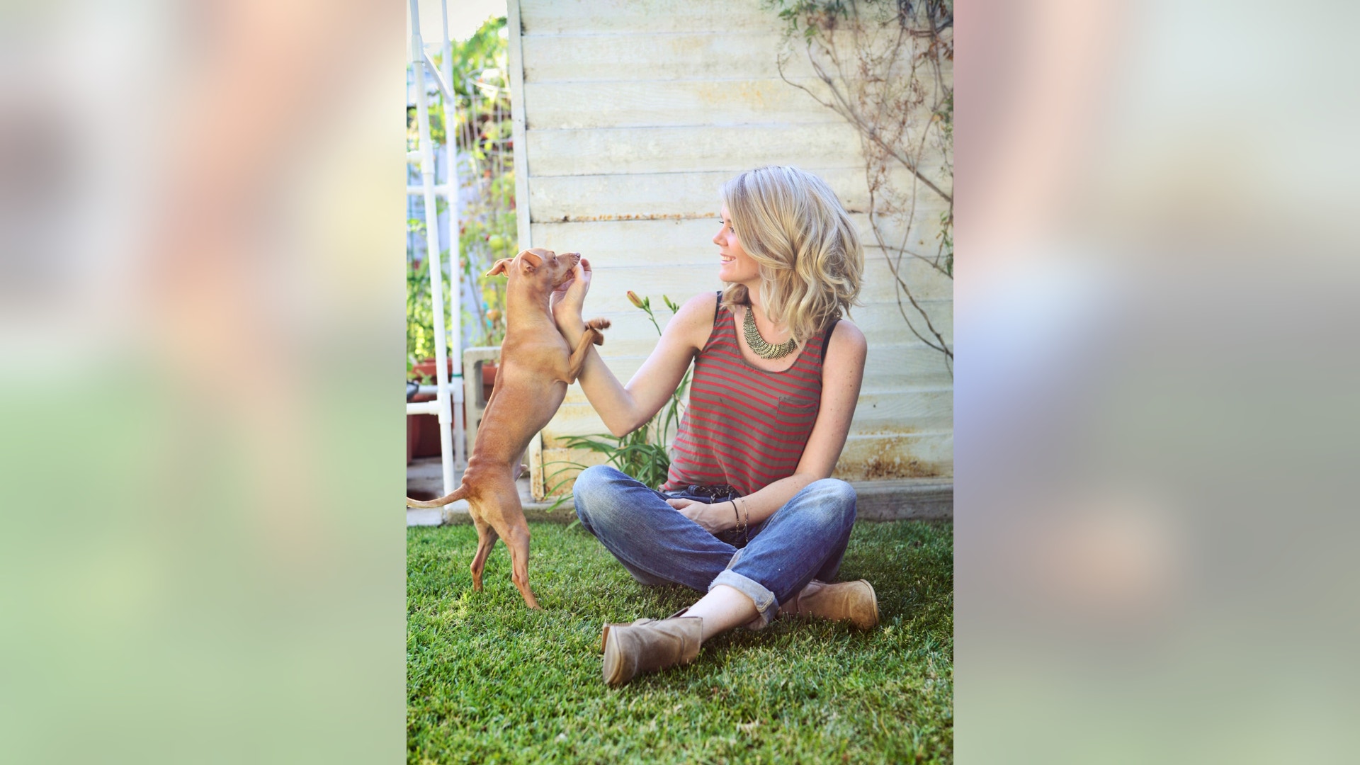 Pets_Hashtag_Hounds_Vros__3_