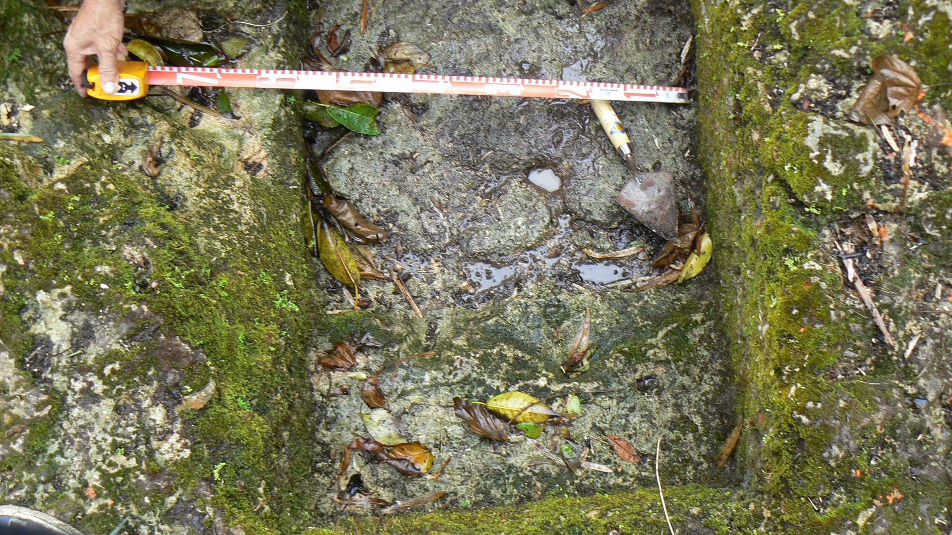 Philippines_Jungle_Discovery_6