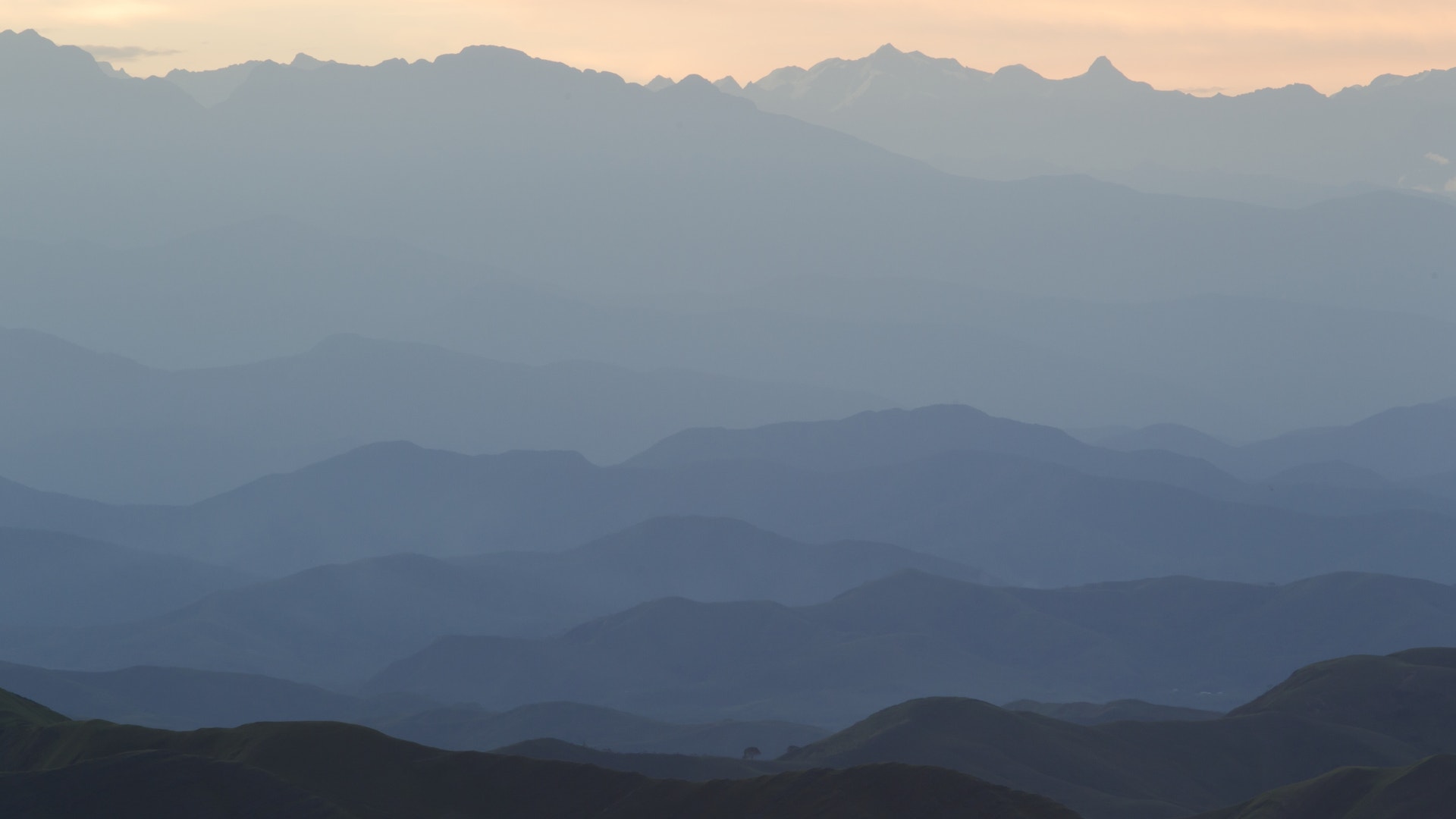 Photo_6_Madidi_Cloud_Forest_at_Dawn___Mileniusz_Spanowicz_WCS_SERNAP