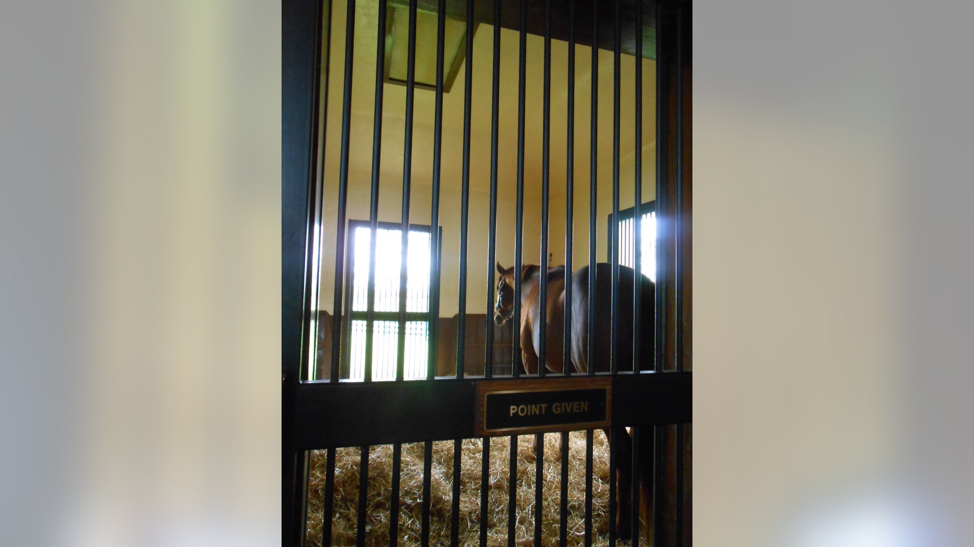 Point_Given___Three_Chmneys_Farm