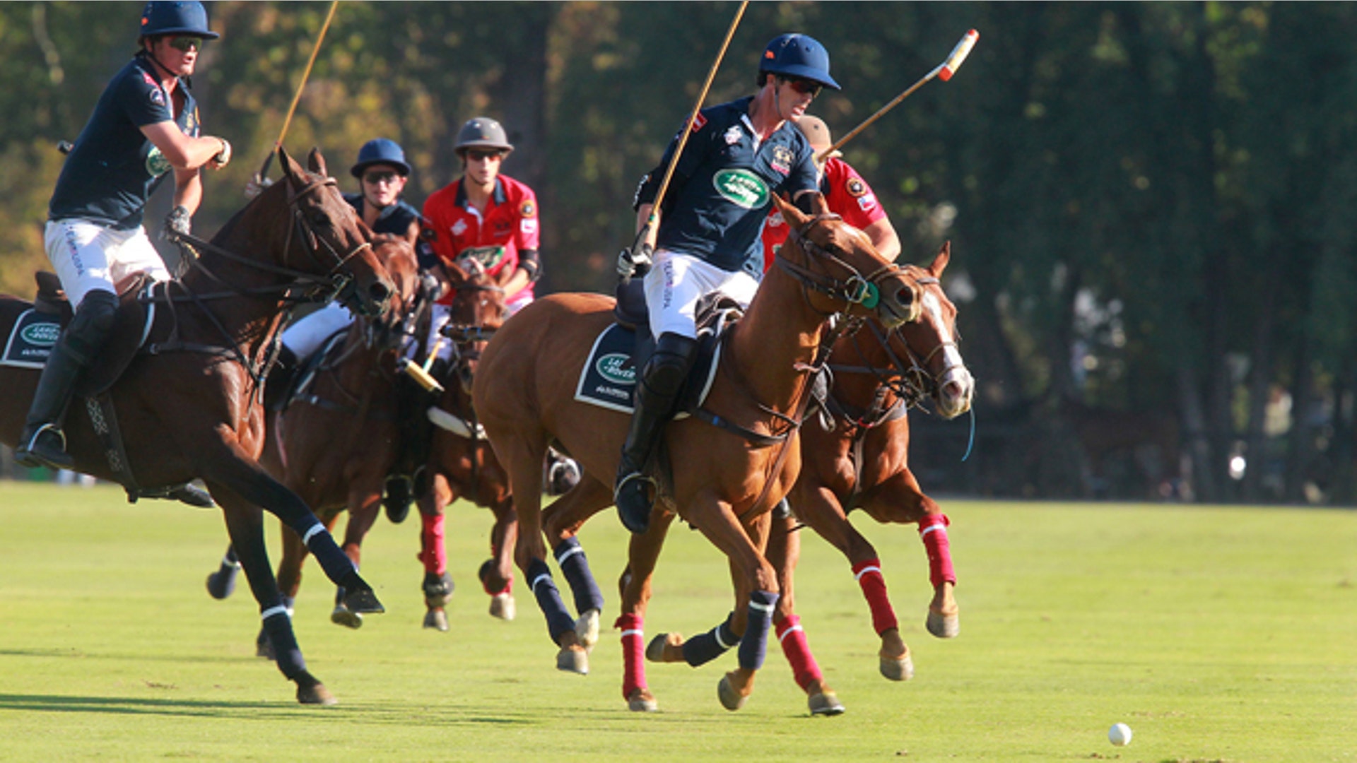 Polo_Felipe_Viana_top