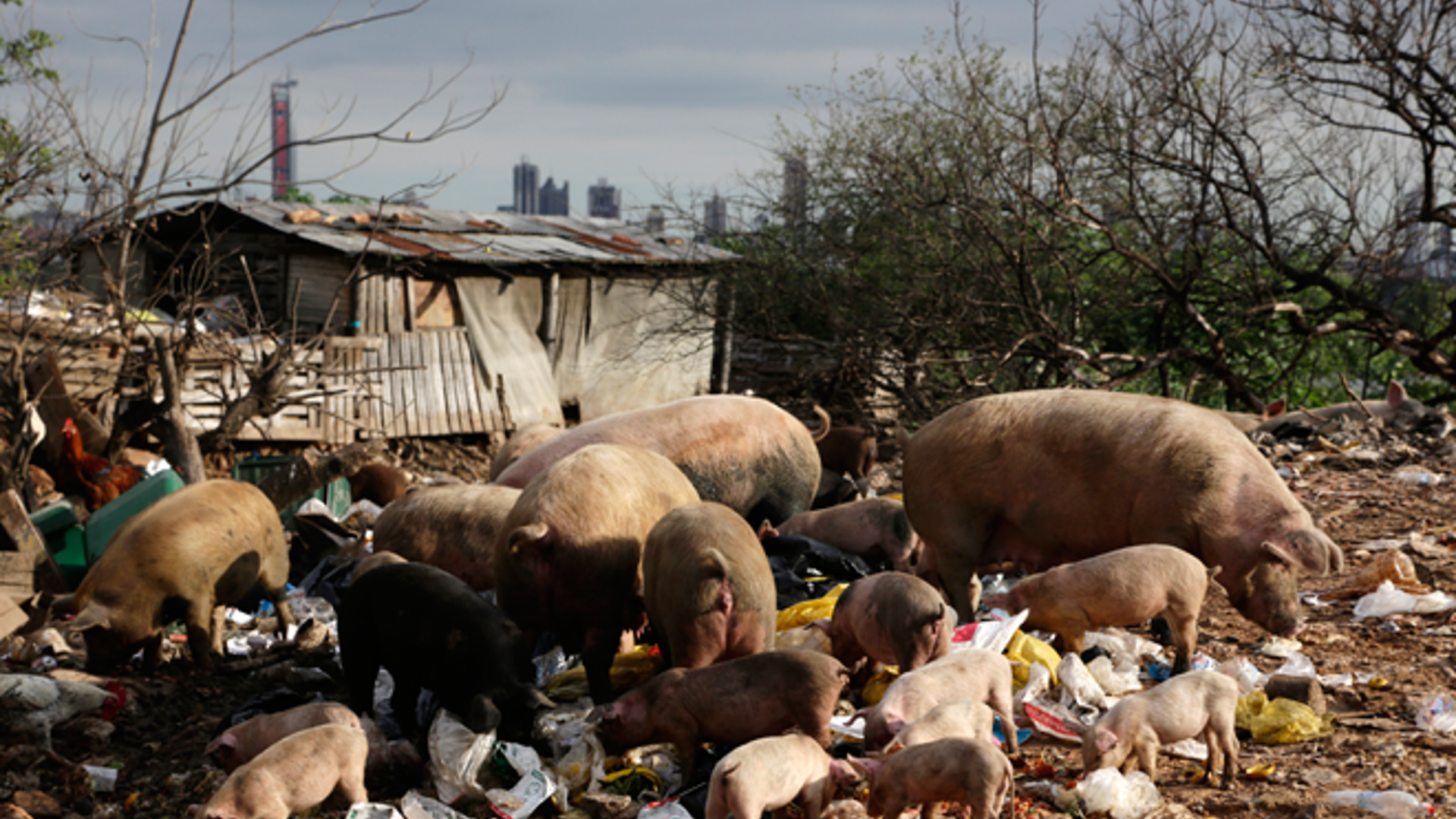 Pope_Paraguay_Poor__1_