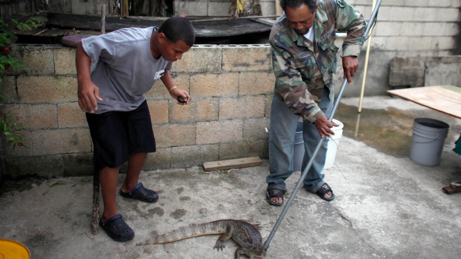 Puerto_Rico_Catching__Grat