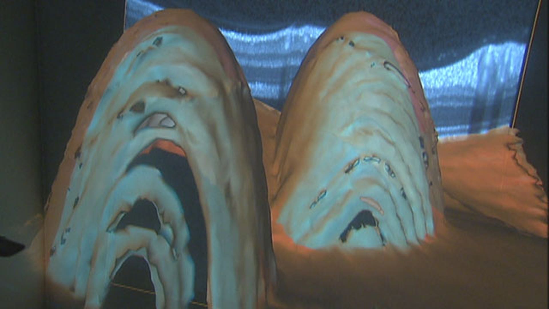 Putting Technology to Work