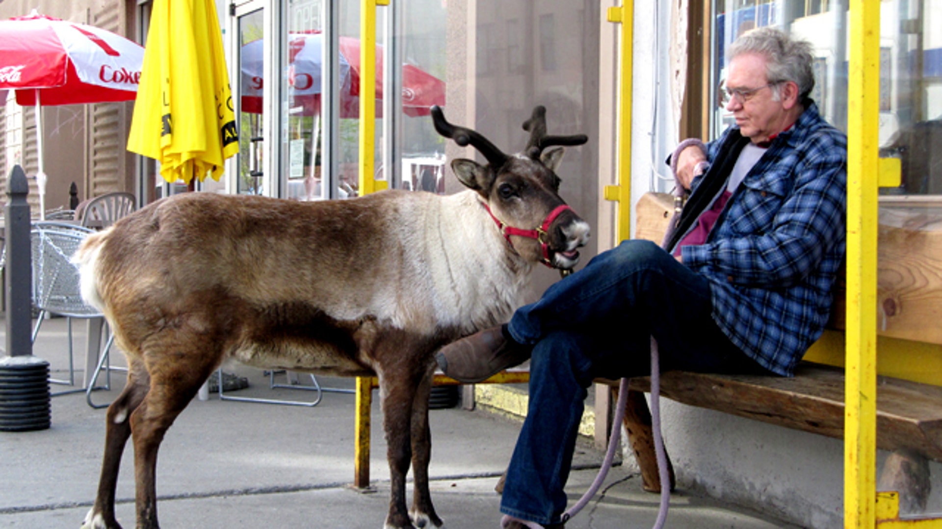 Man and Deer