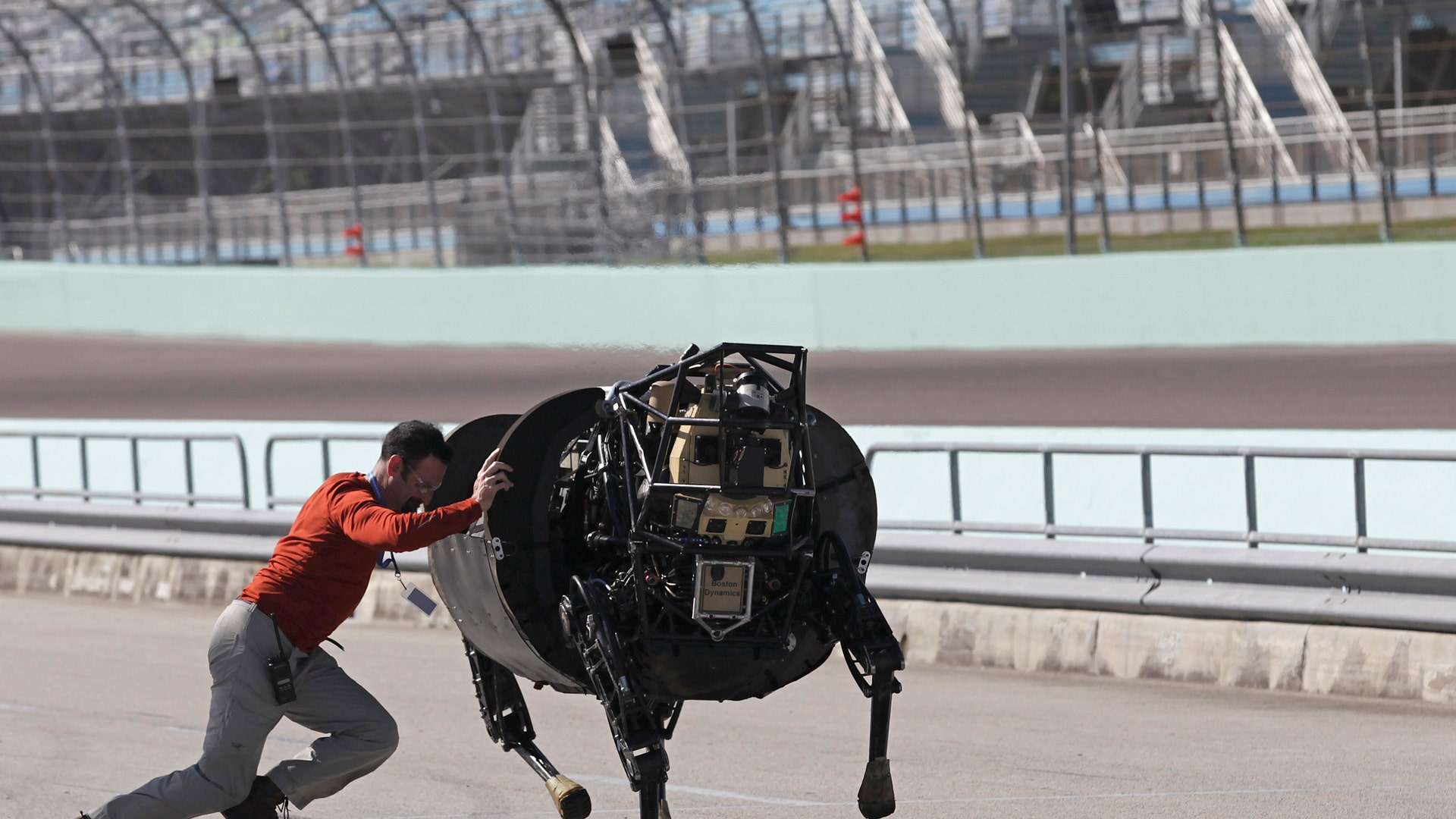 Legged Squad Support System