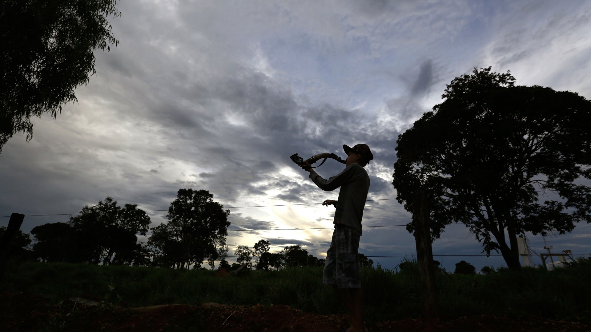 Rare_Disease_Brazil__7_