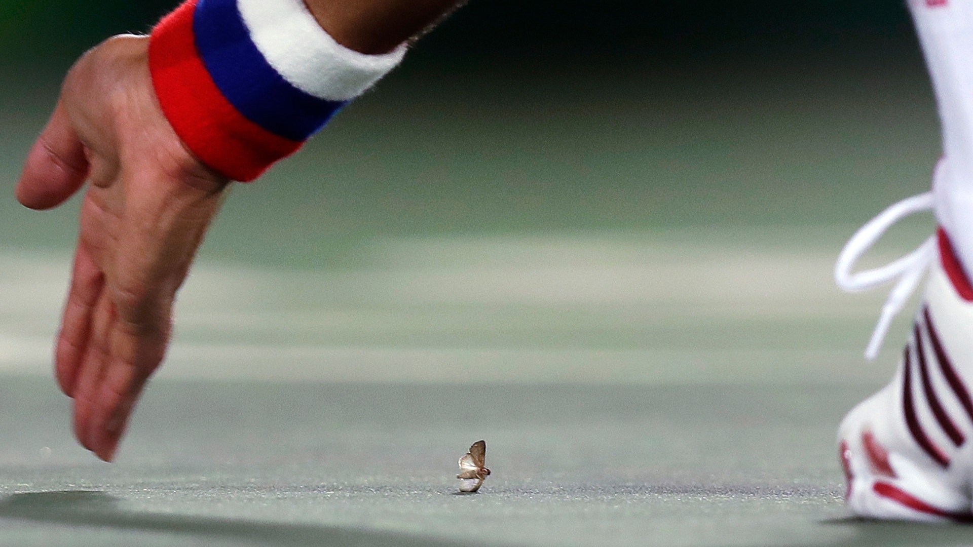 Rio_Olympics_Tennis_M_Vros__10_