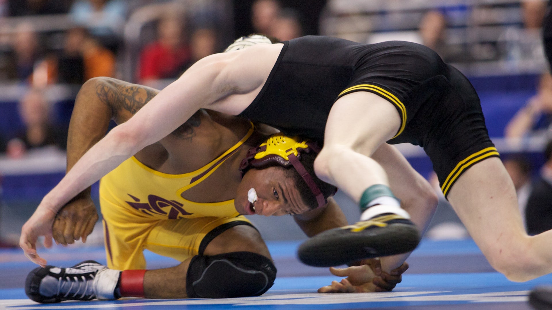 Энтони роблес джон фото ASU Sun Devil Wrestlers Fox News