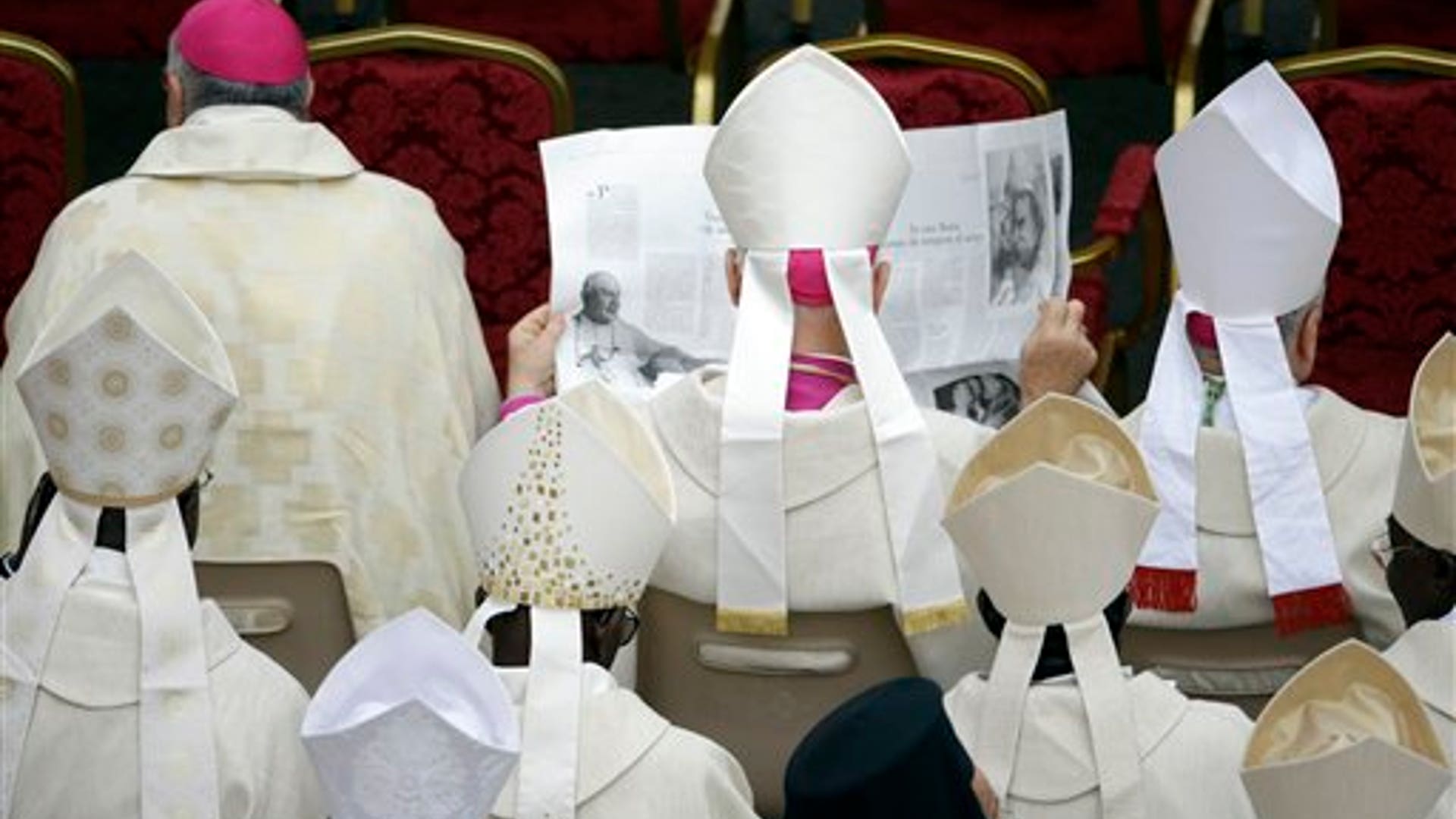 Sainthood_Francis__13_