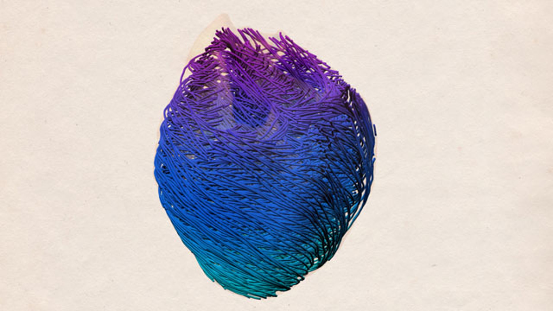 Science_engineering_contest_2012_12