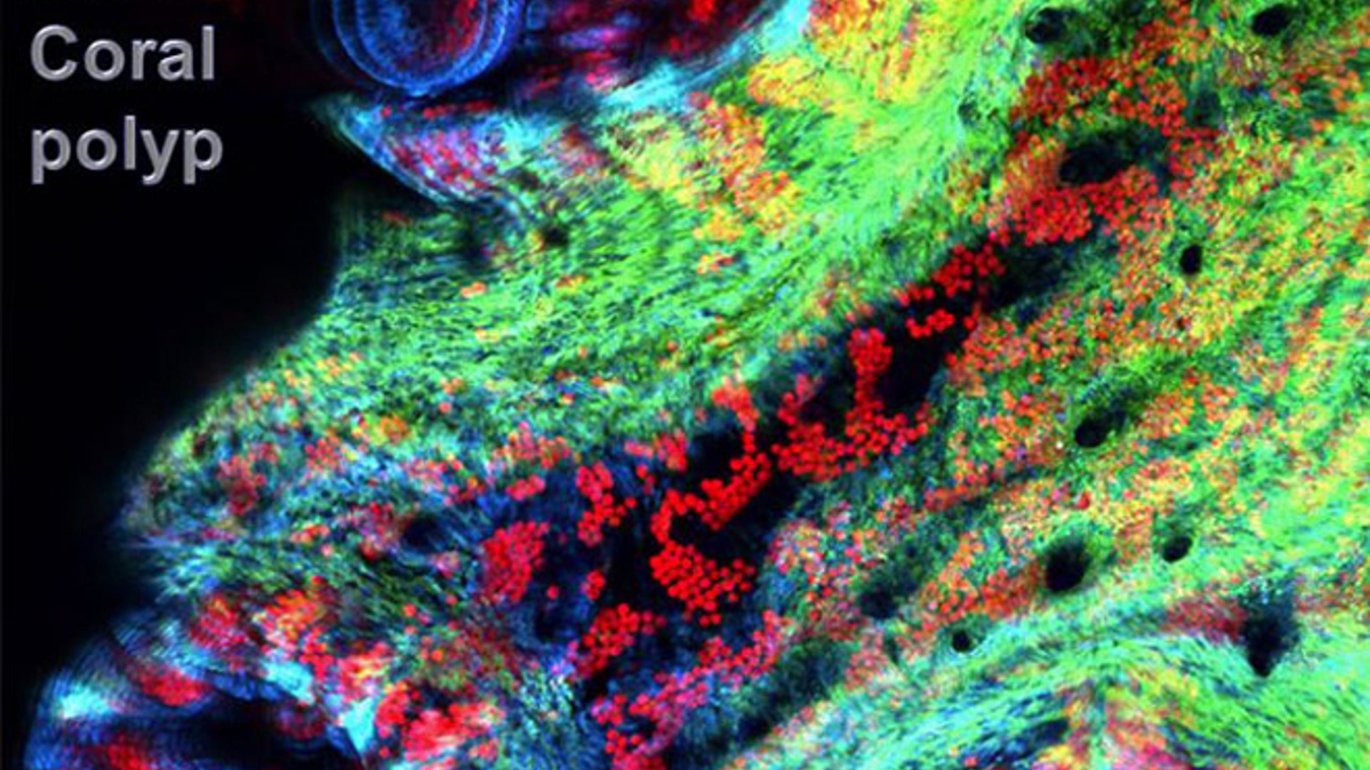 Science_engineering_contest_2012_14