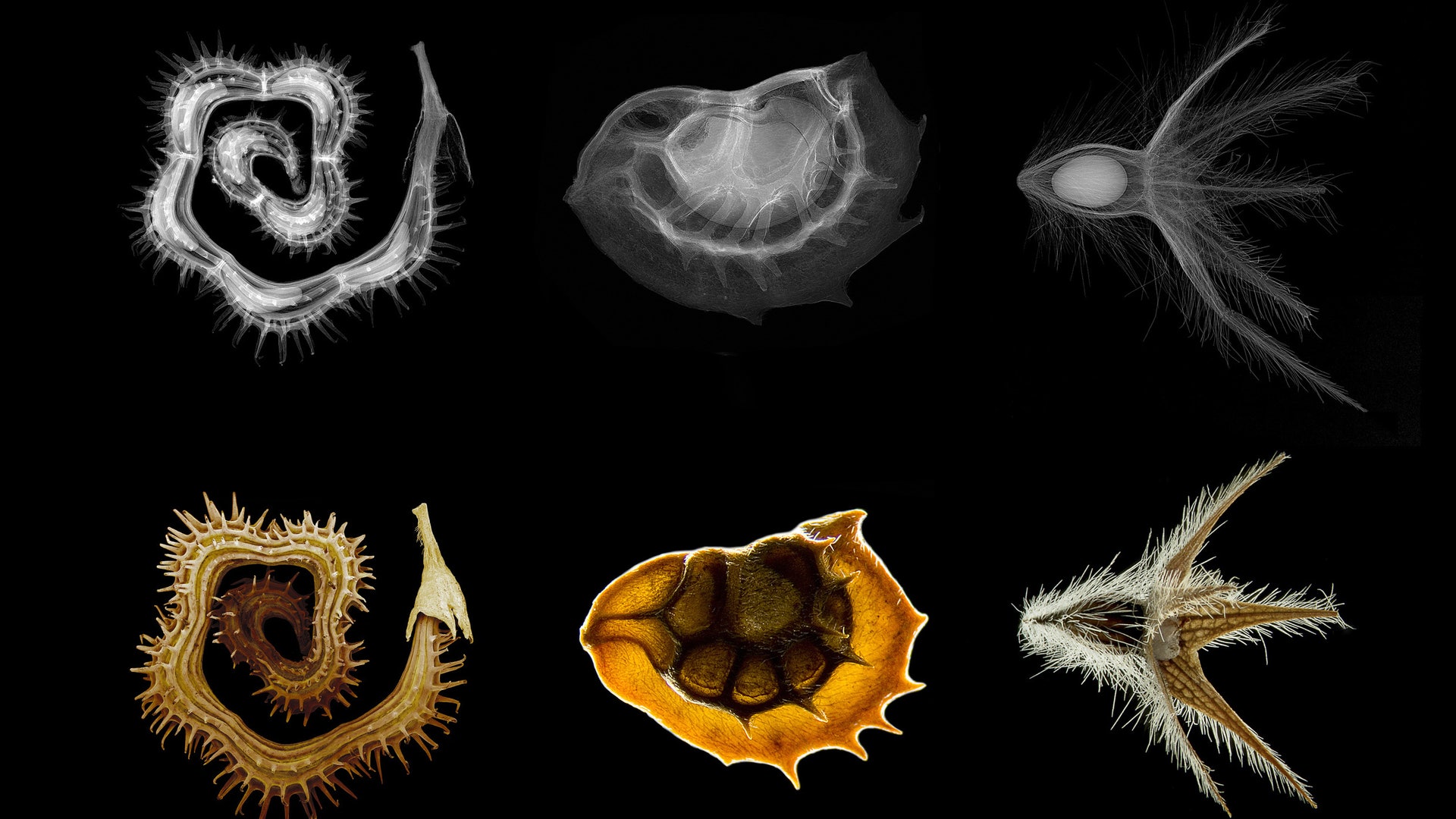 Science_engineering_contest_2012_5