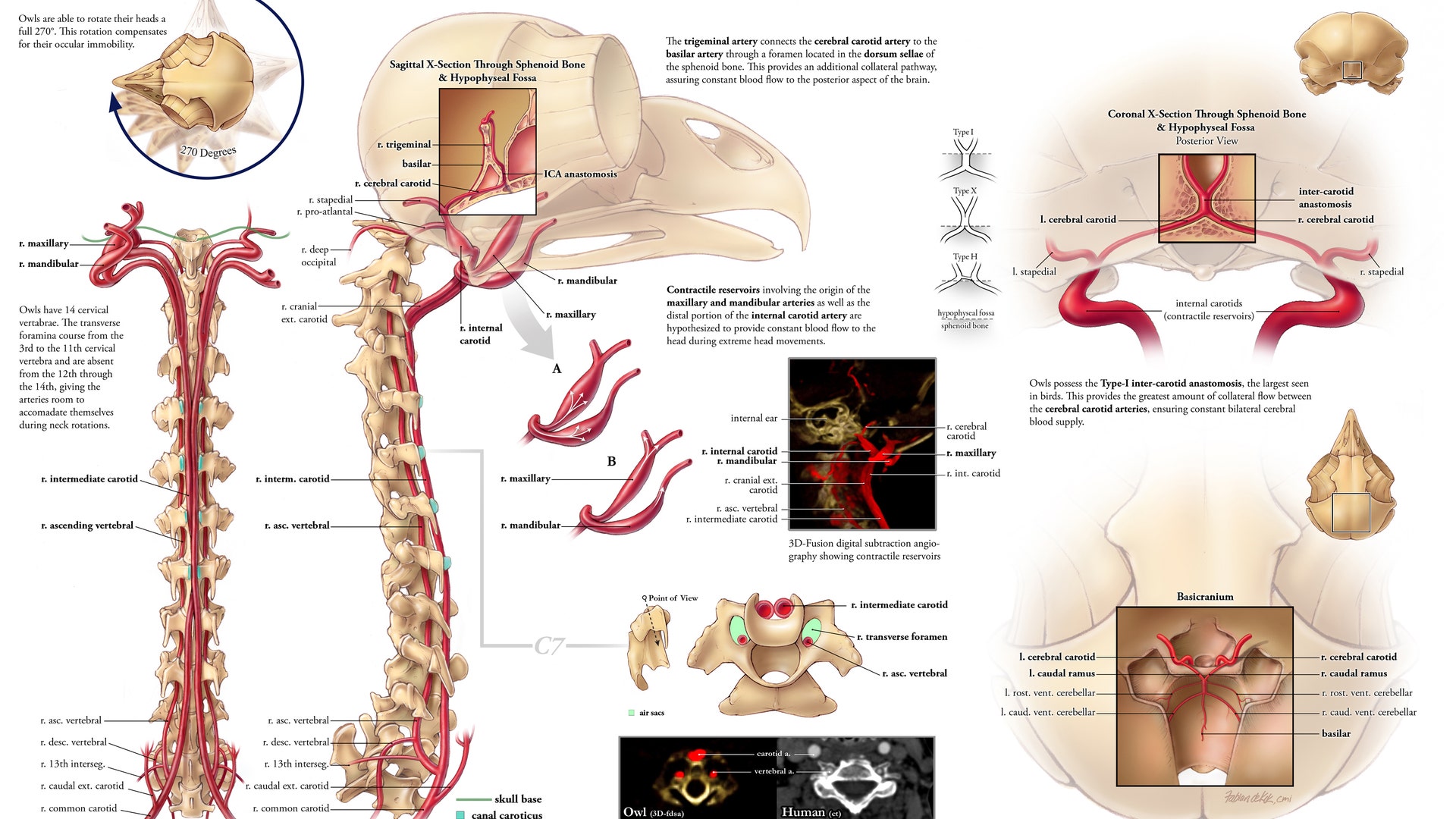 Science_engineering_contest_2012_6