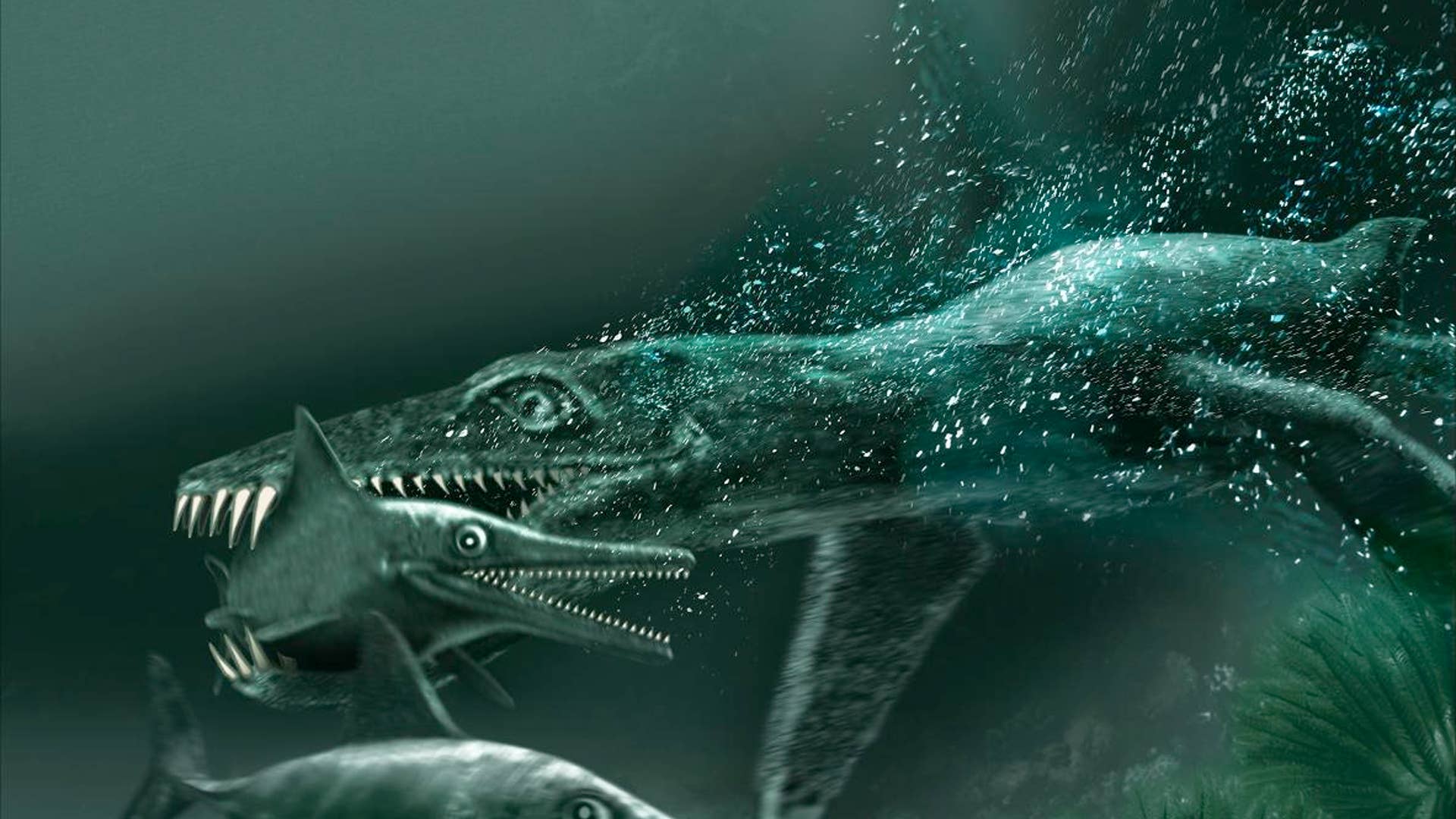 Predator X, on the Hunt