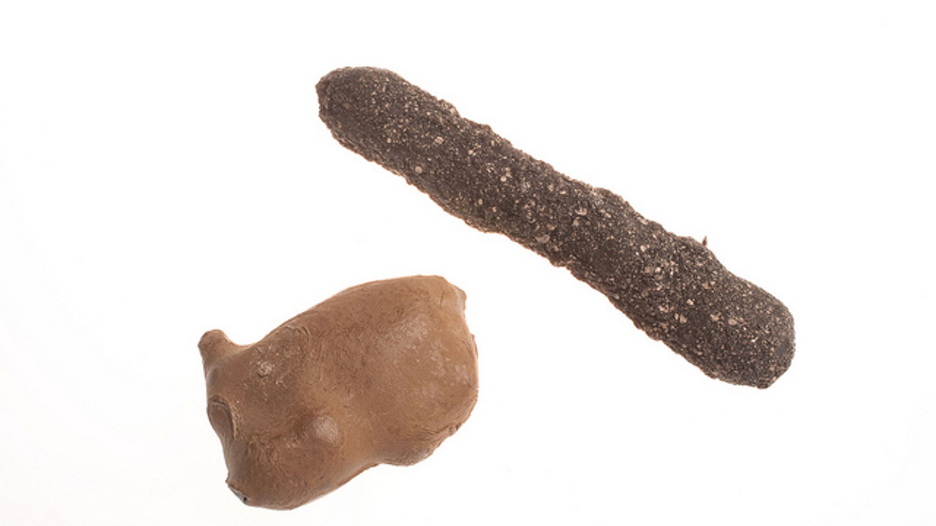 Seismic_Intrustion_Devices