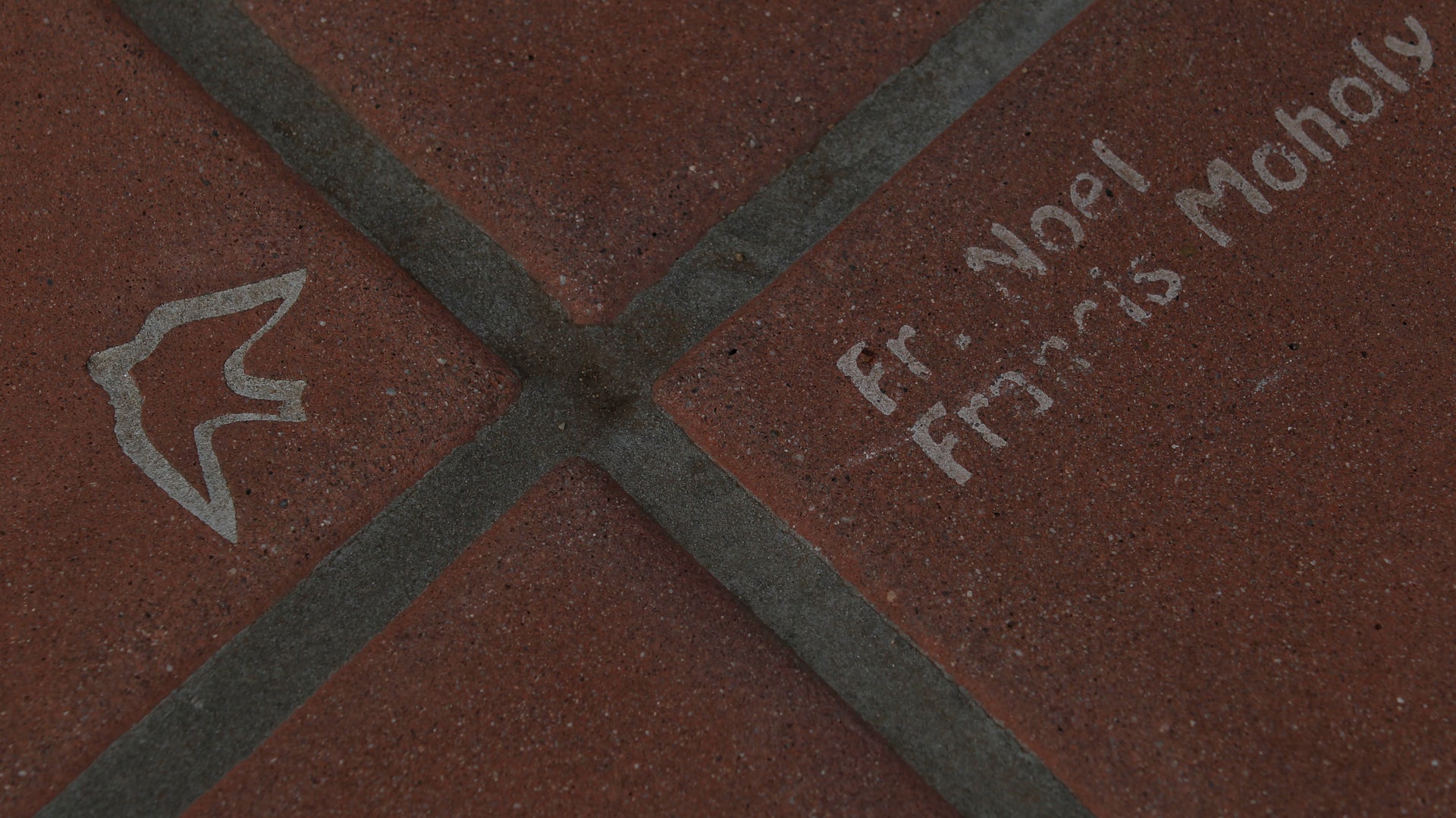 Serenading_Swallows_4