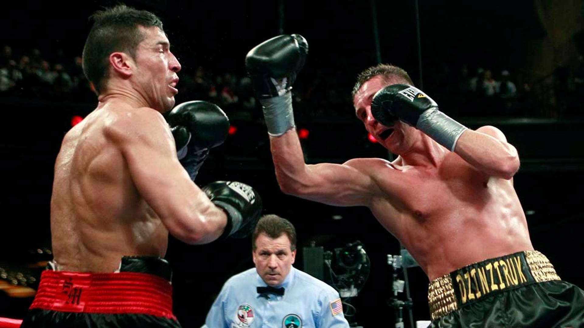 Sergio Martinez Knockout 4