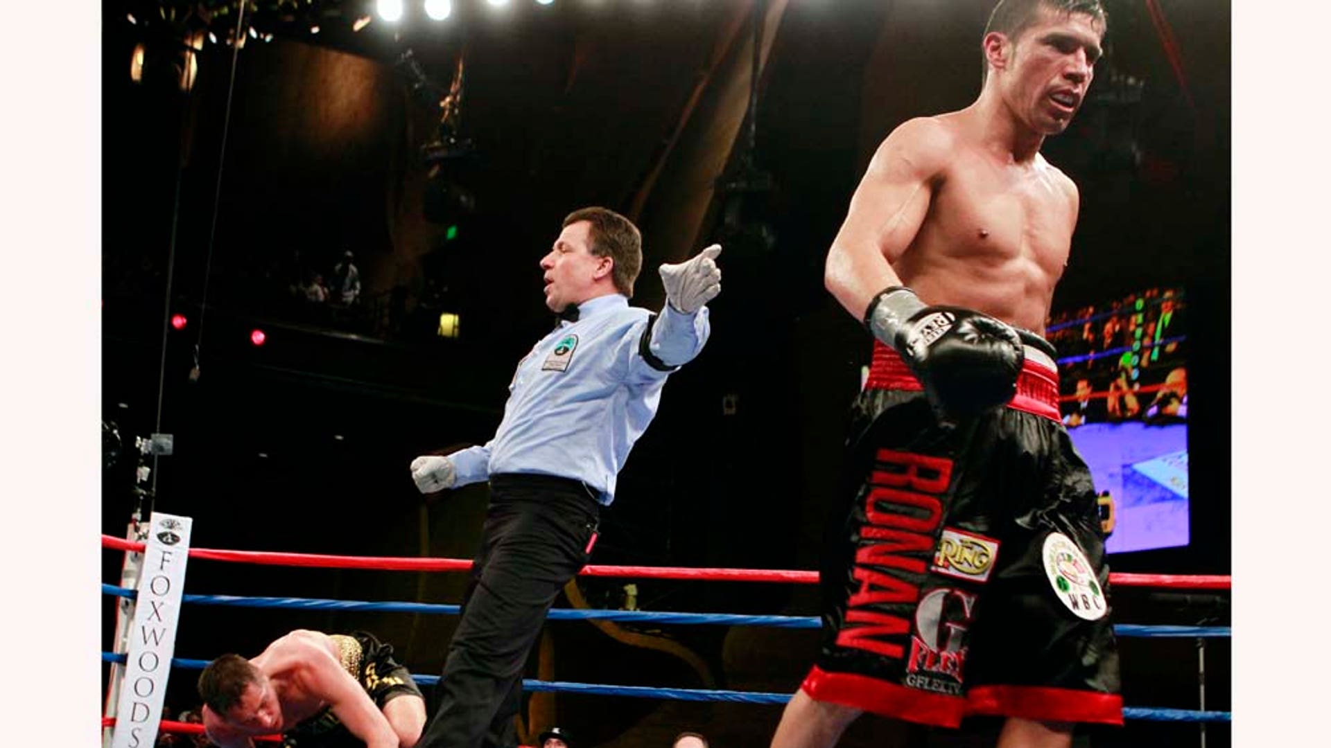 Sergio Martinez Knockout 5