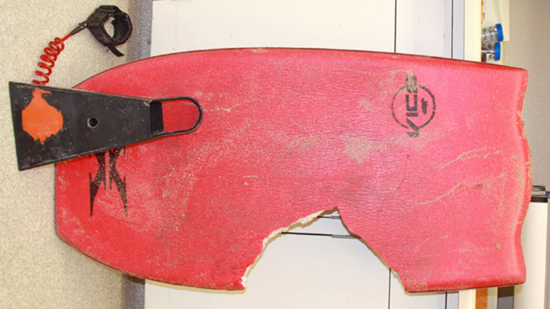 Boogie-Board Shark Bite