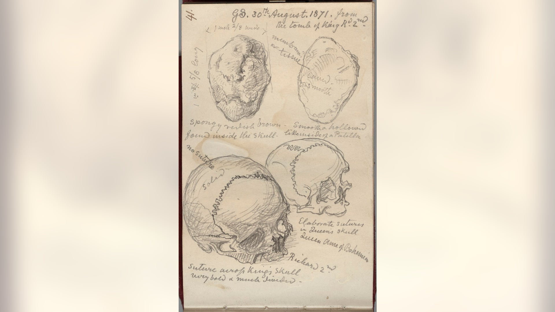 The Skull of Richard II