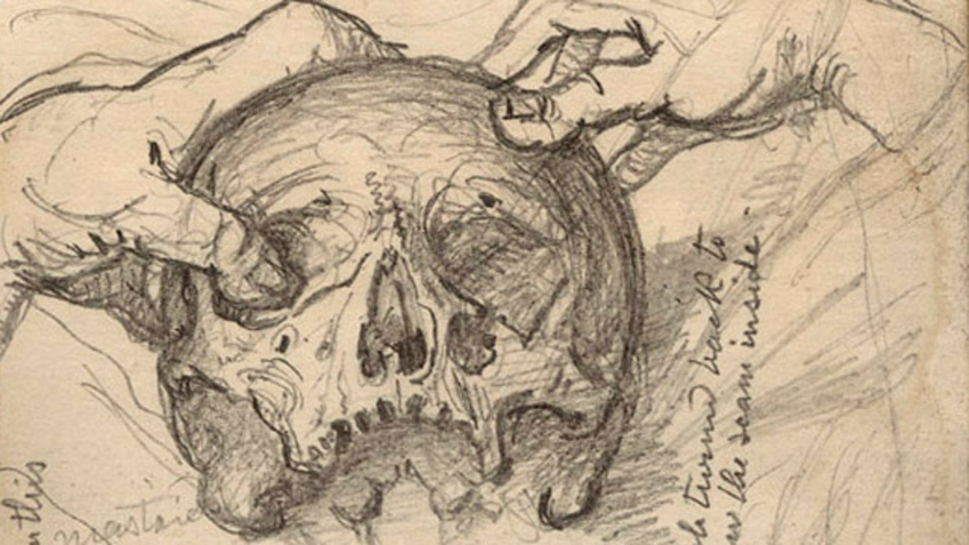 Sketch_of_Skull_of_Richard_II_1879_image4