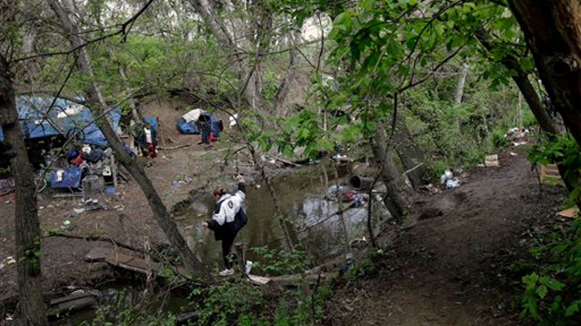 Leaving The Jungle The Slums Of Silicon Valley Fox News