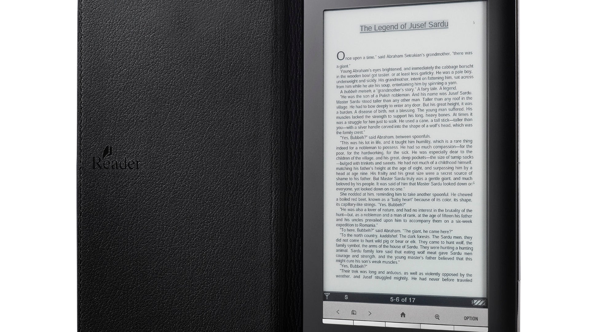 Sony Reader Daily Edition