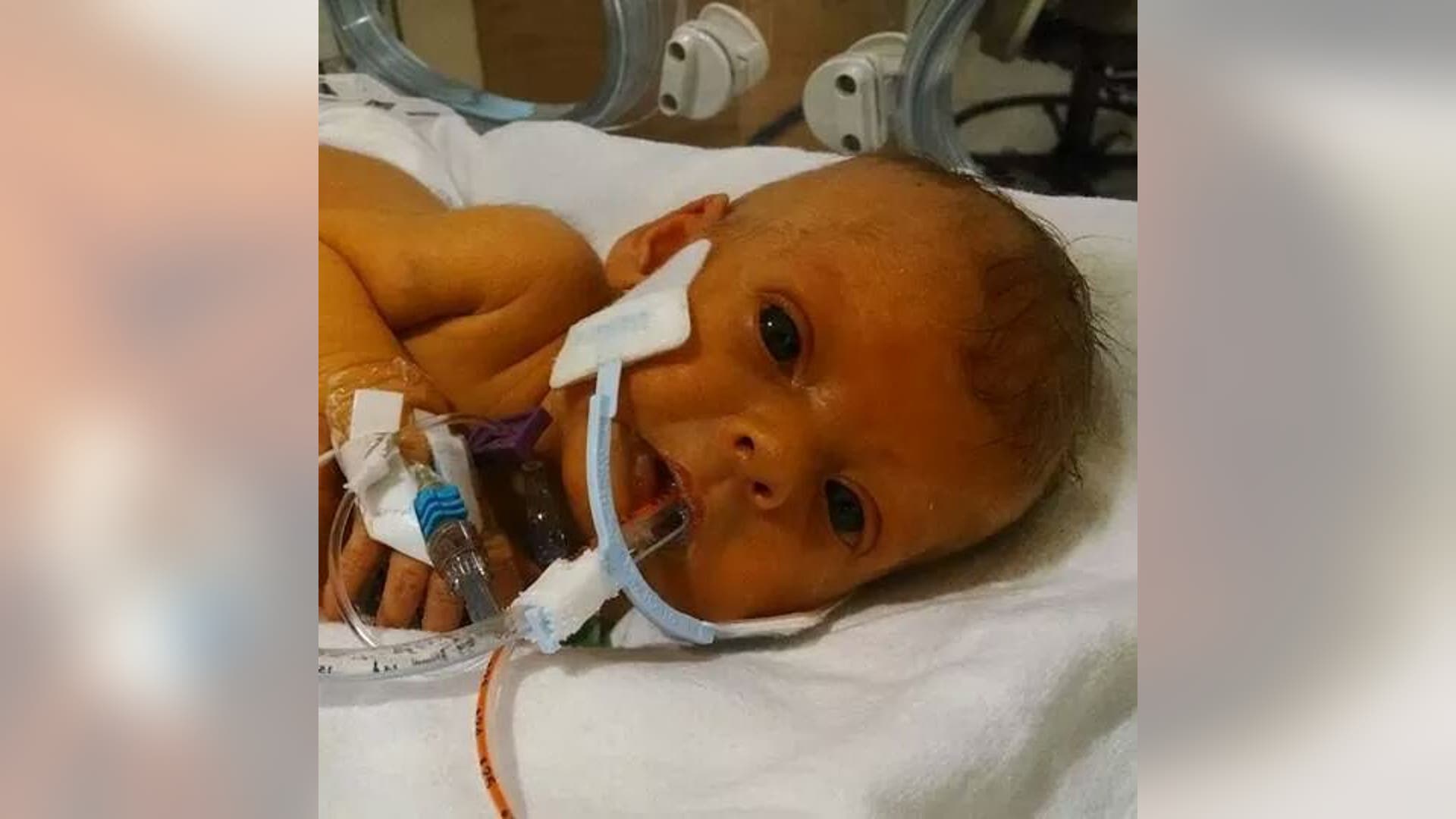 Original photo of Sophia