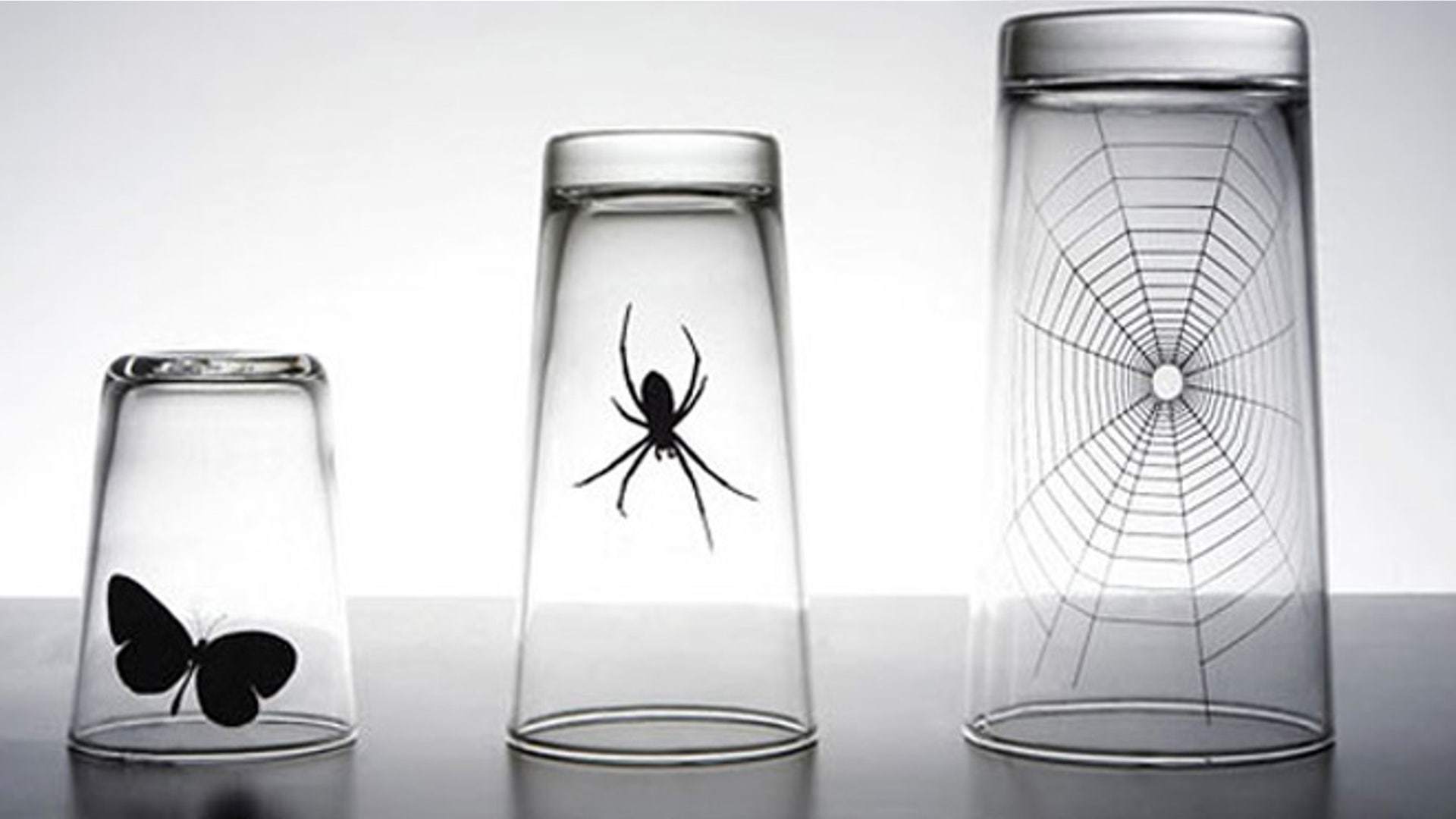 SpiderButterfly
